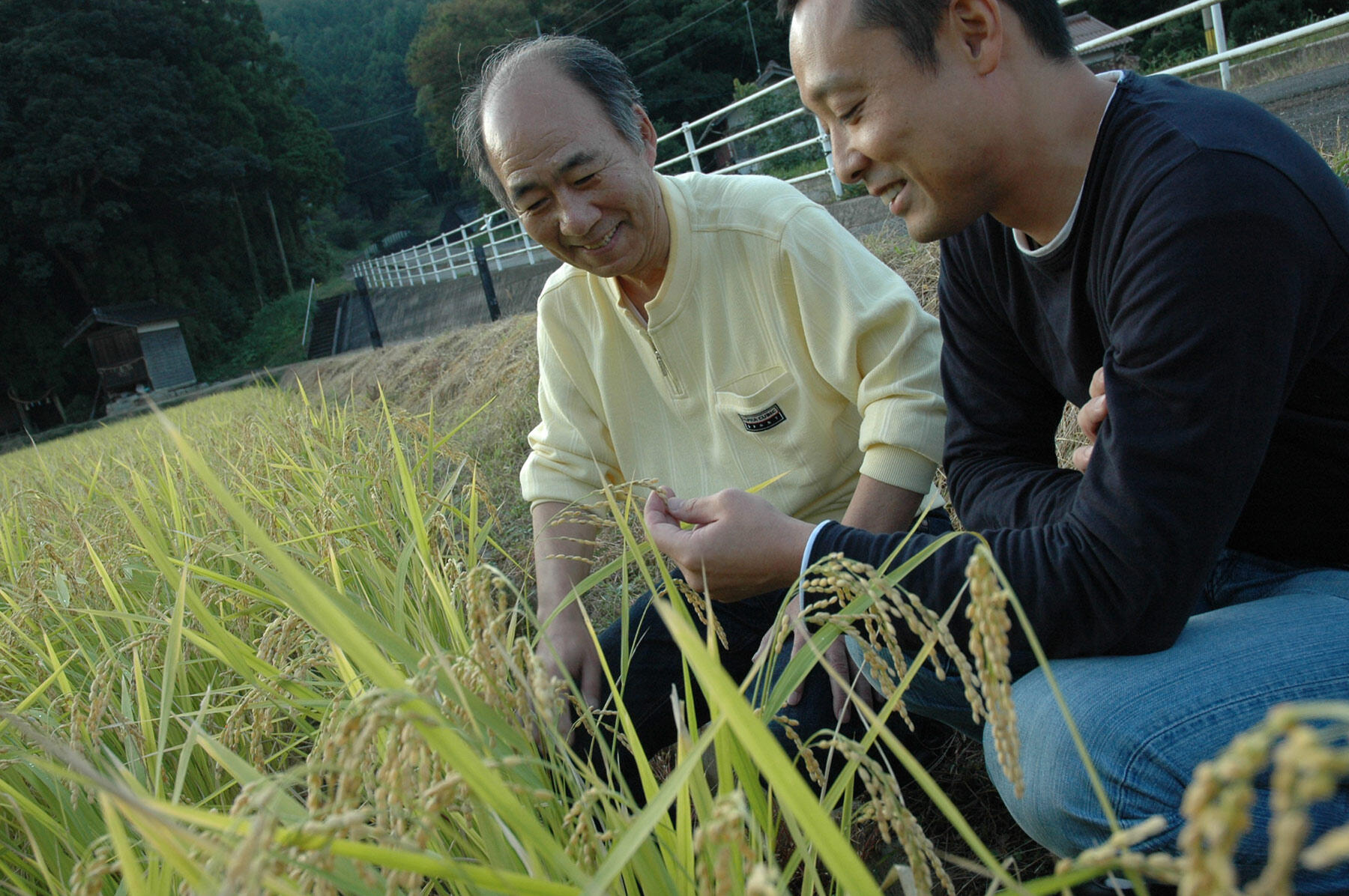 山田錦の田んぼにも、山中さんを案内