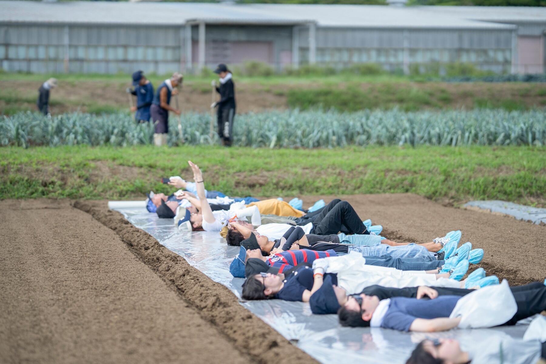 畑に身を委ねる「野菜の気持ちになる」体験