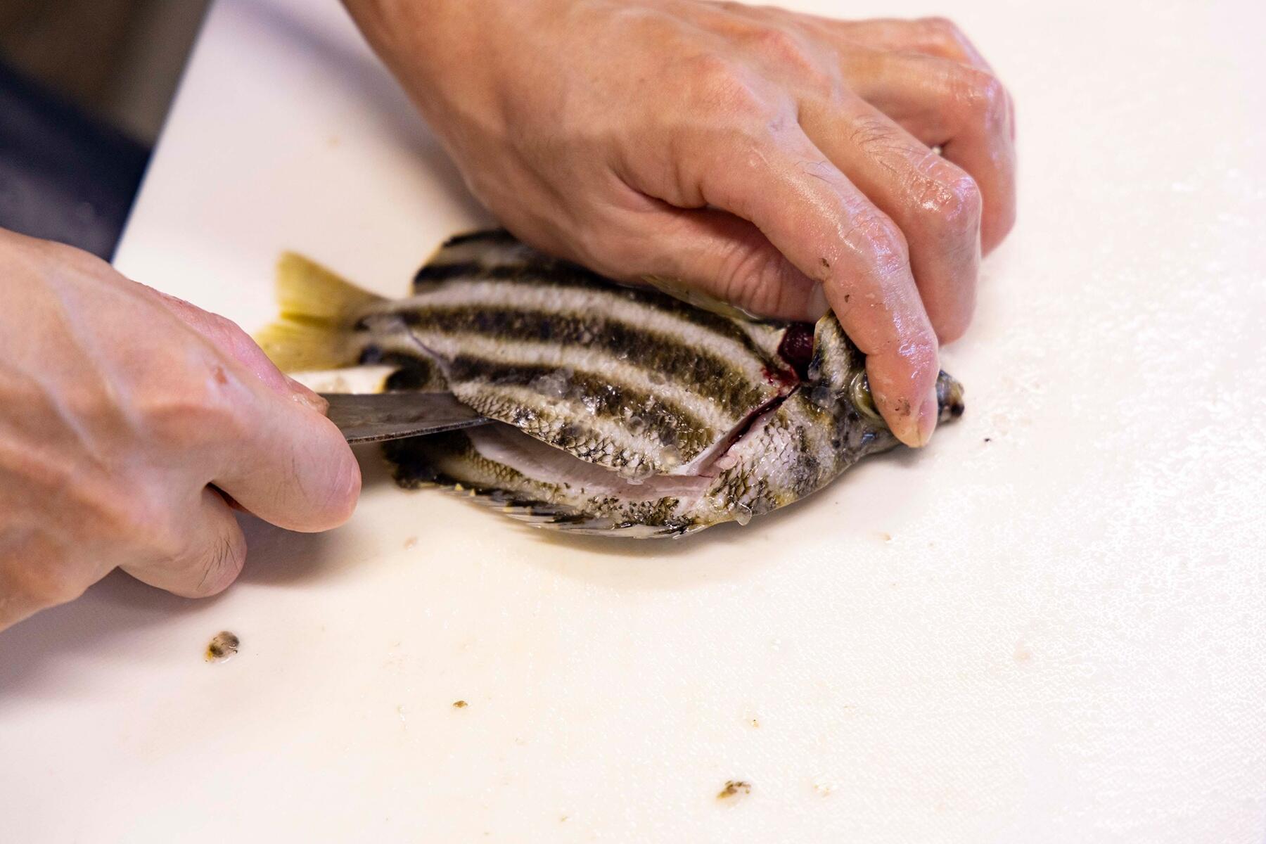 切り目を入れる