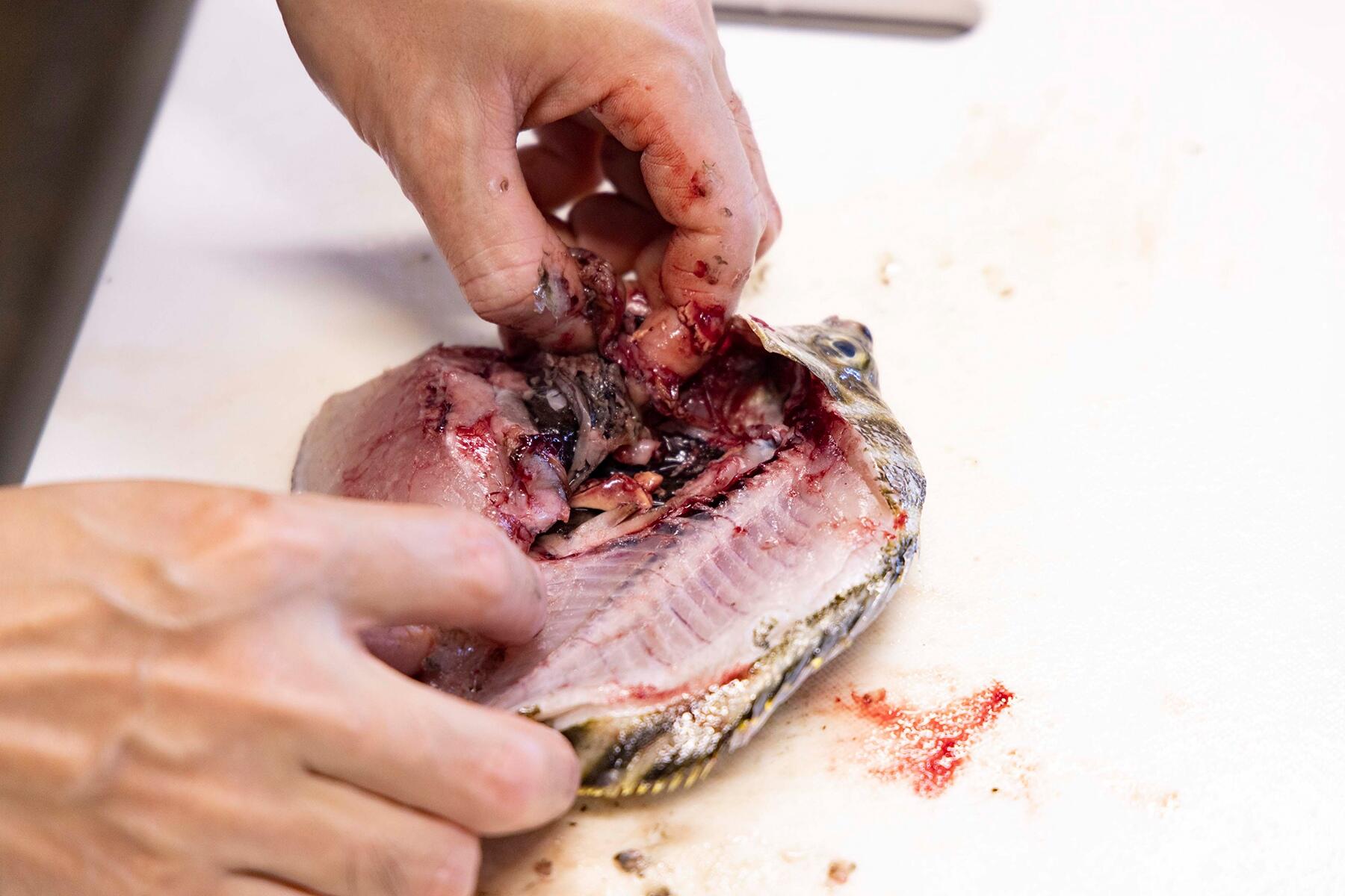 内臓を取り外す