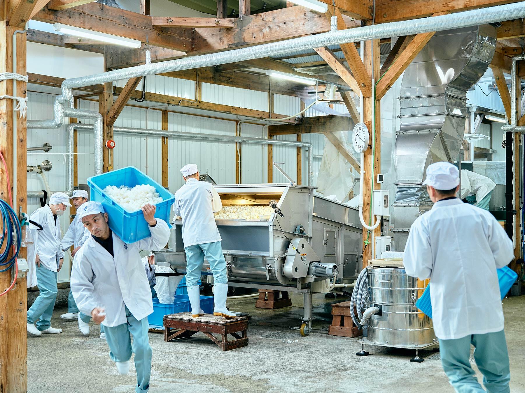 朝の蒸米後の様子