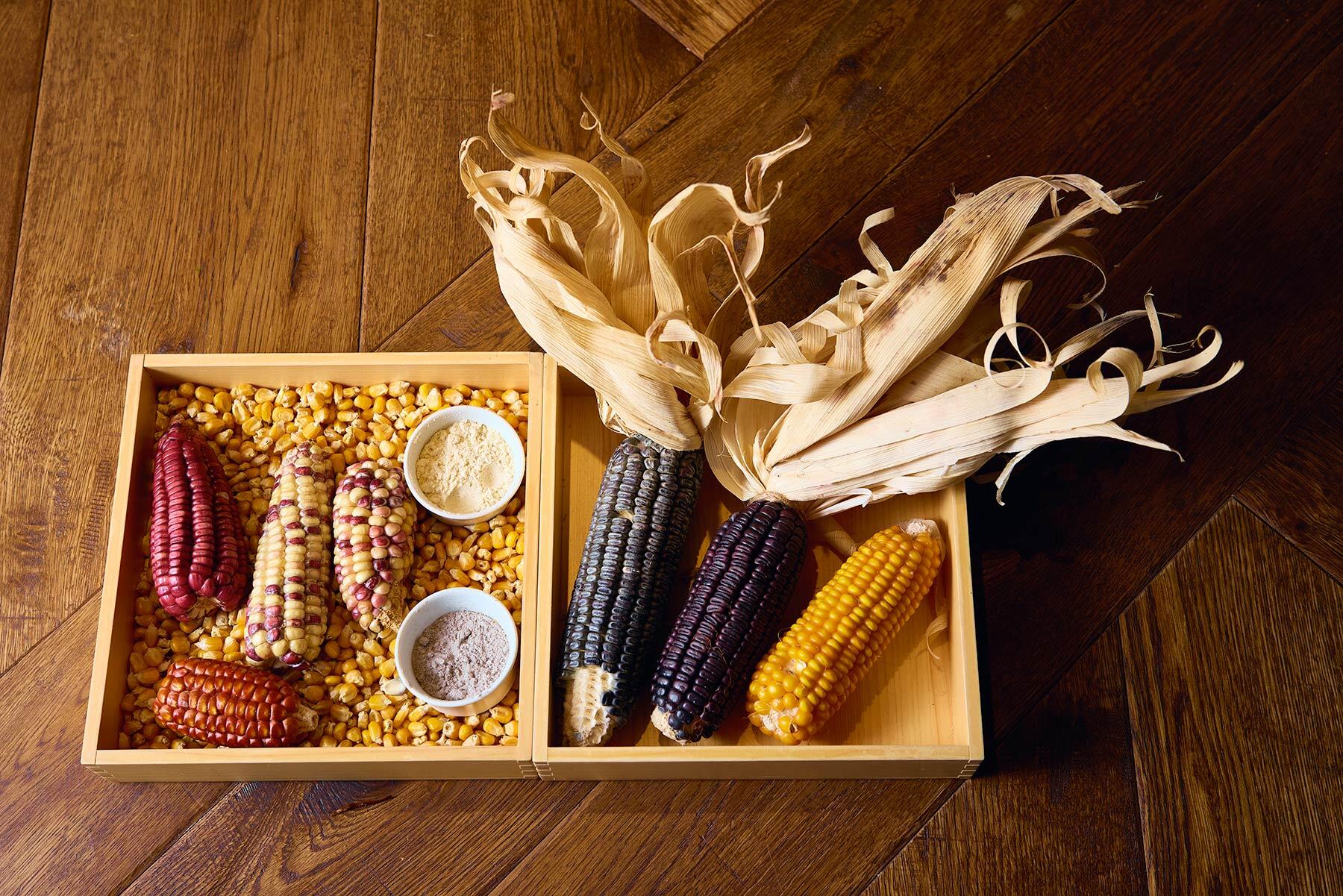 メキシコのとうもろこし