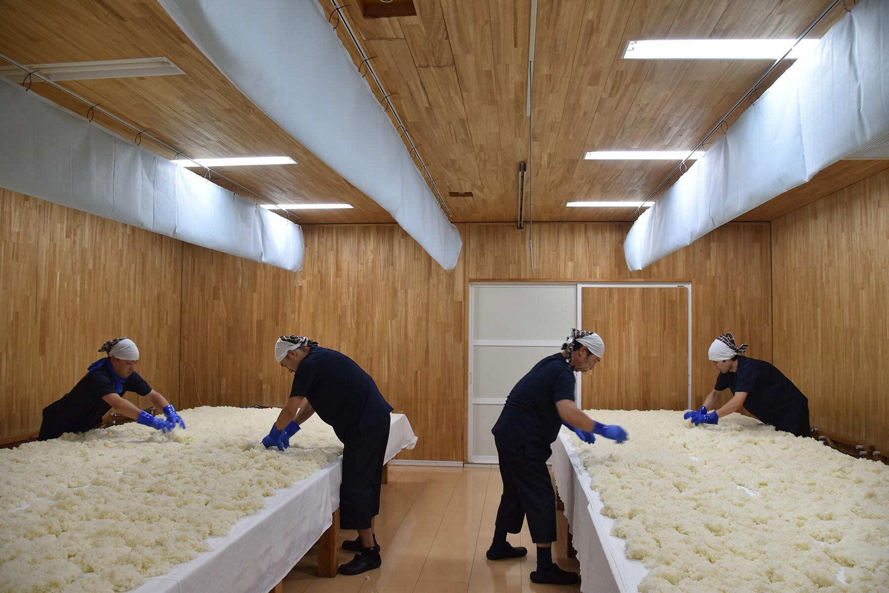 麹室で、麹造りの作業をするスタッフ