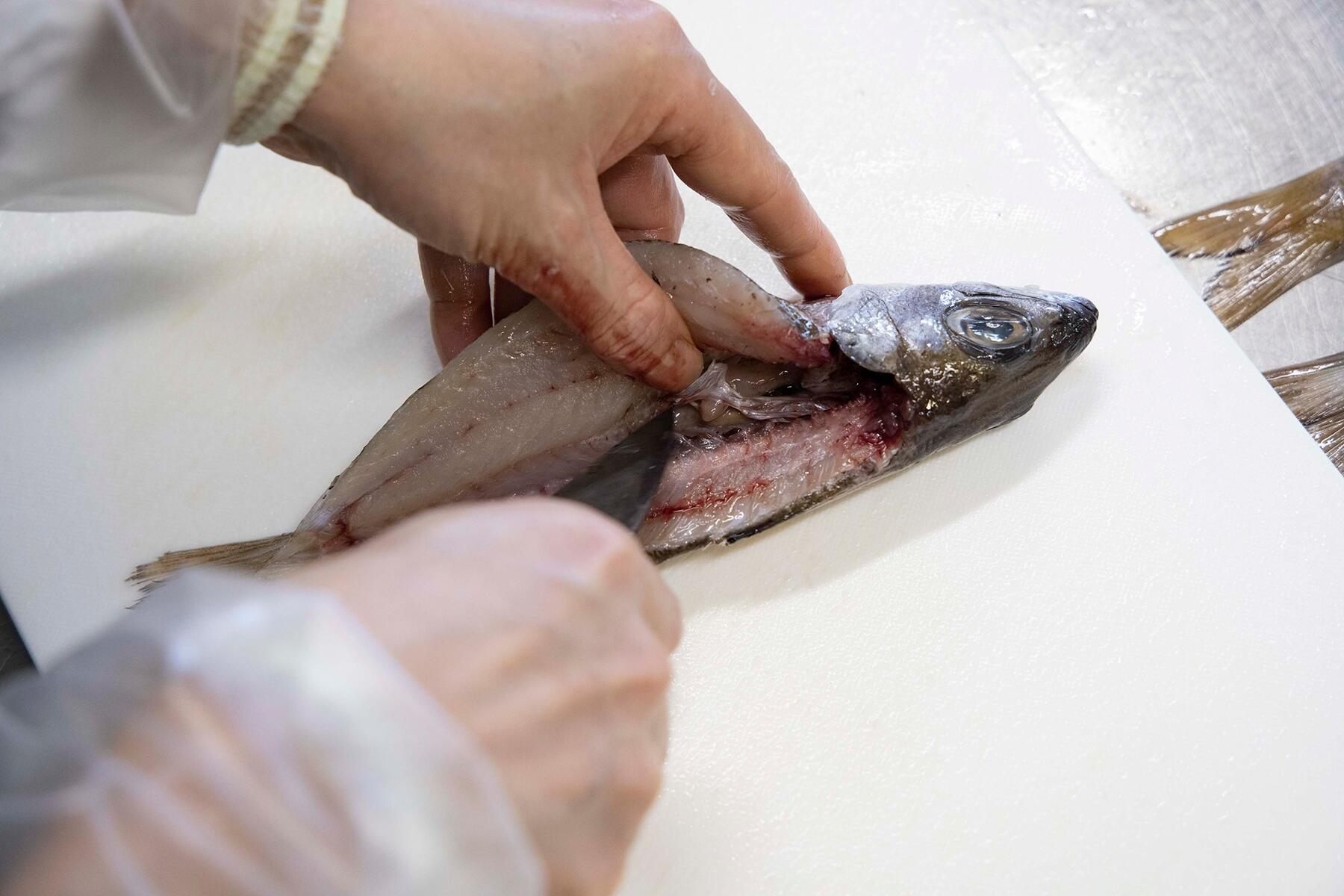 さらに深く包丁を入れる