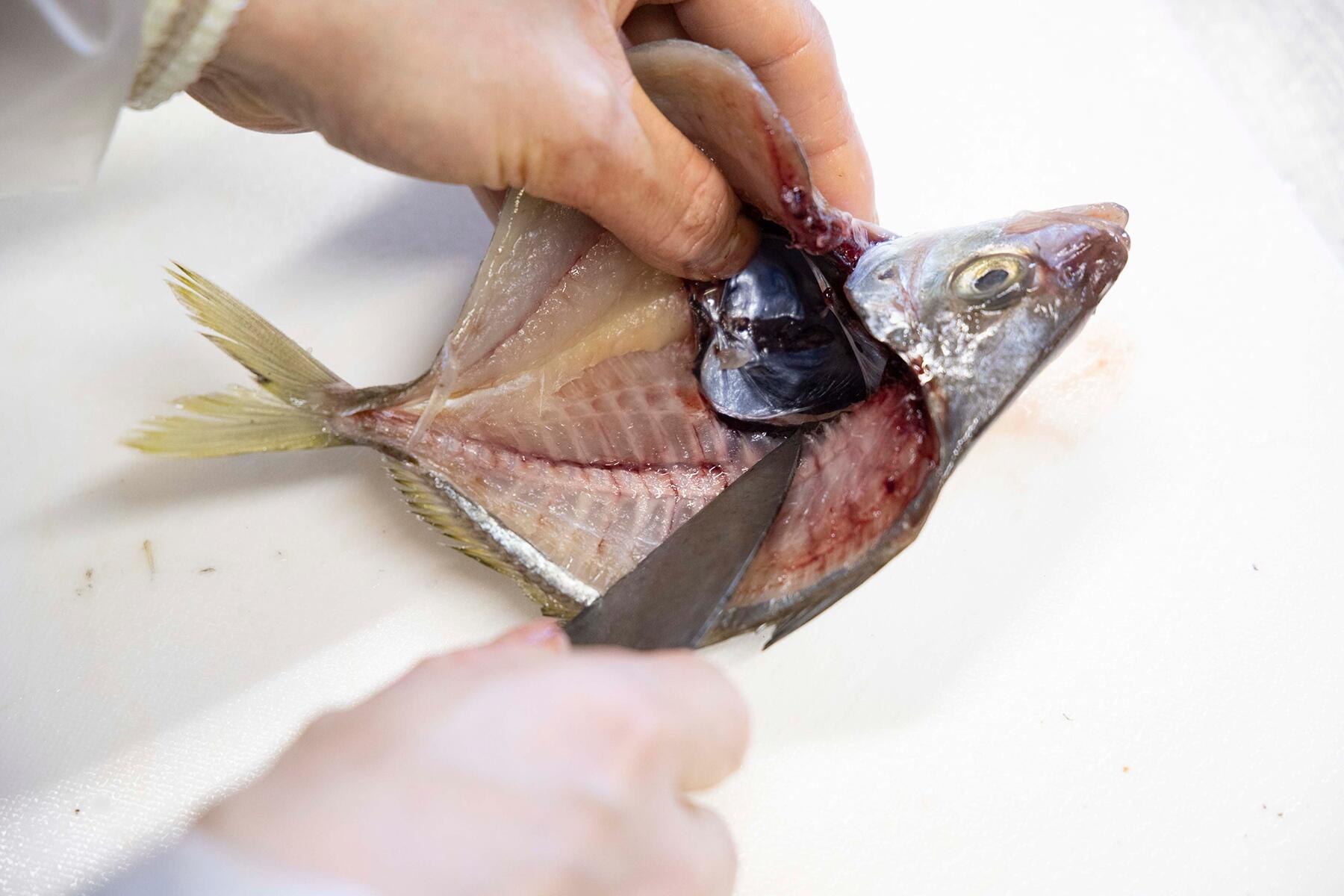 さらに深く包丁を入れる