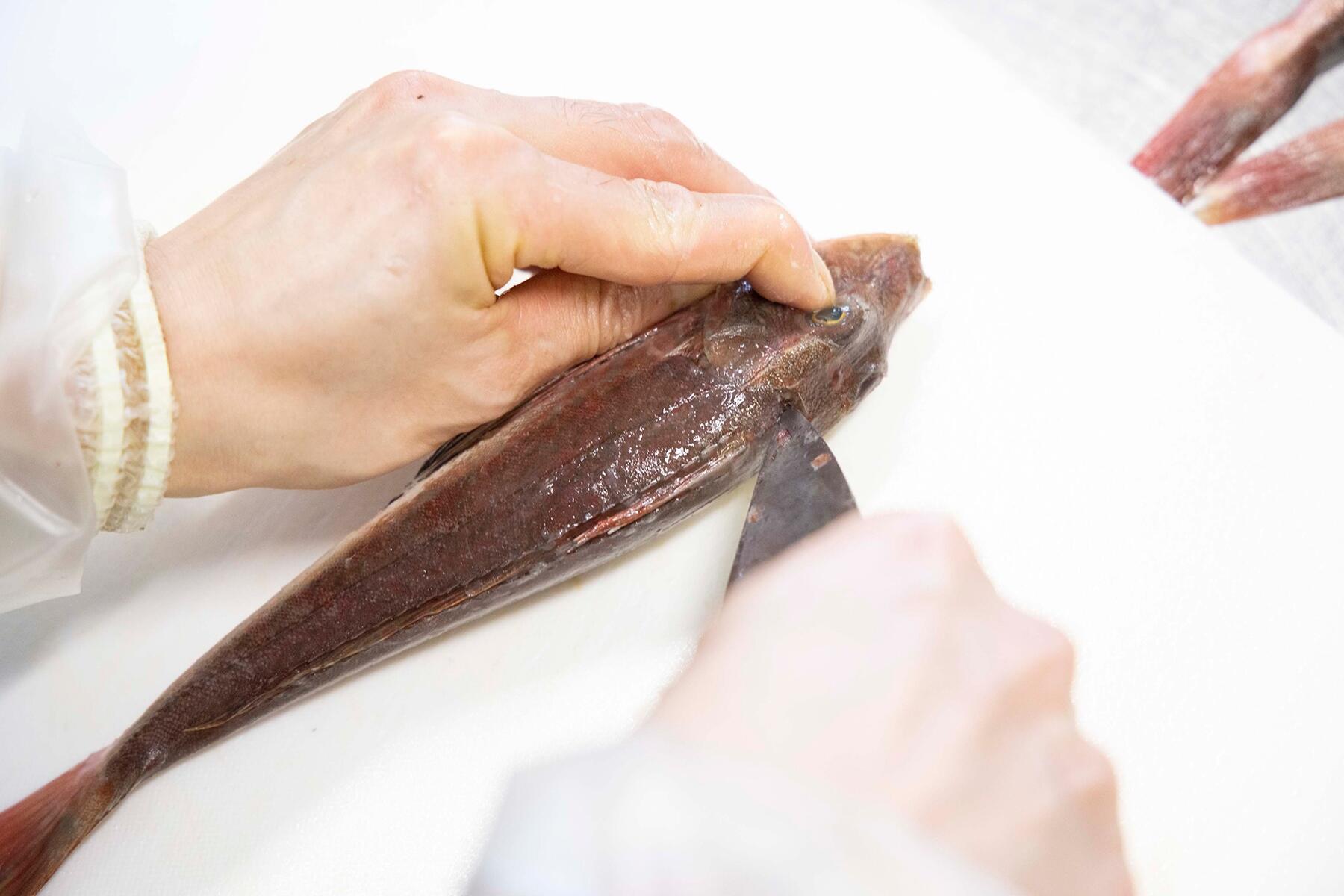 首（頭のつけ根）の後ろから尾まで切り目を入れる