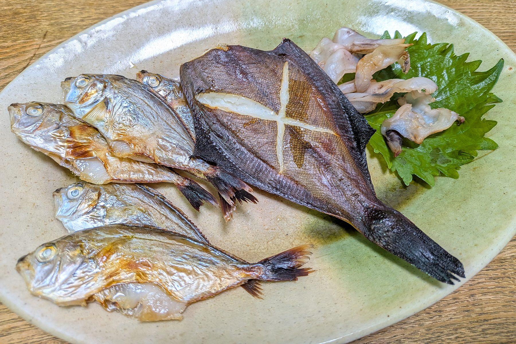 【大宮冬洋の干物日記】