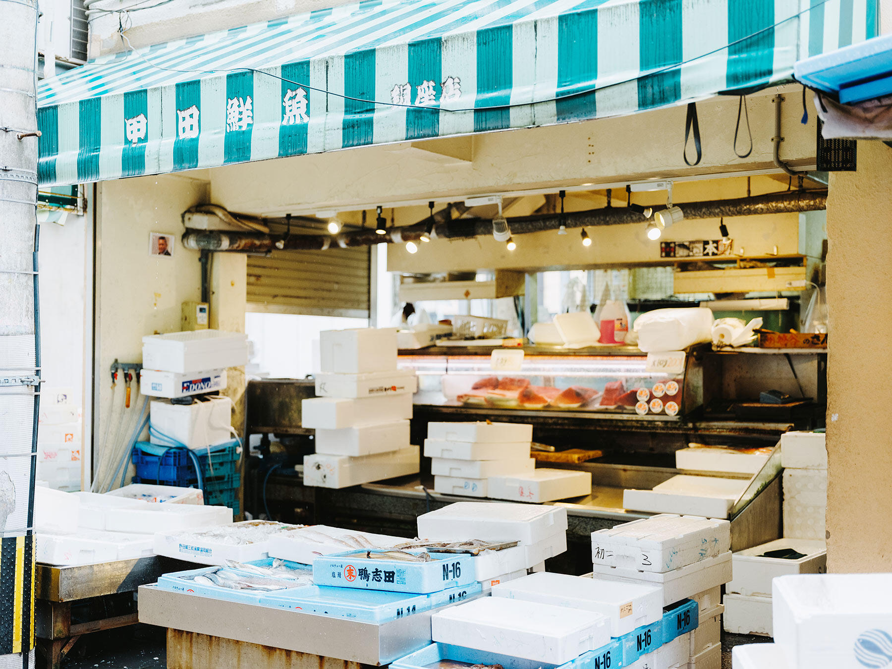 甲田鮮魚 銅座店
