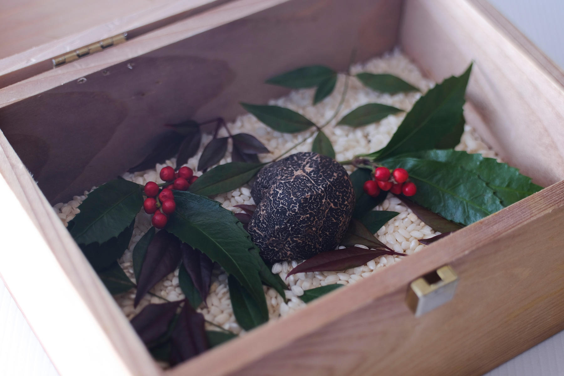 蓋を開けると、中には立派な黒トリュフが入っていて、思わず歓声が上がる。