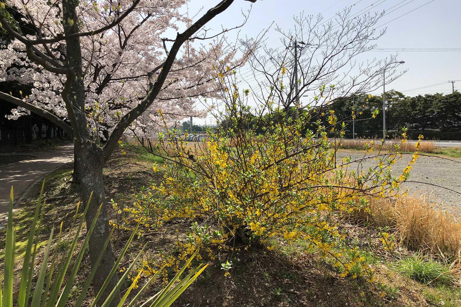 大森さんの写真