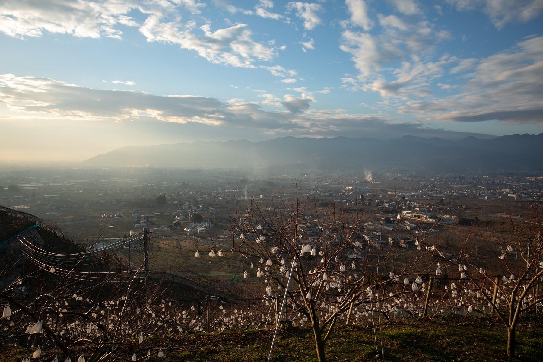 「ビストロ・ミル・プランタン」の窓から見える風景