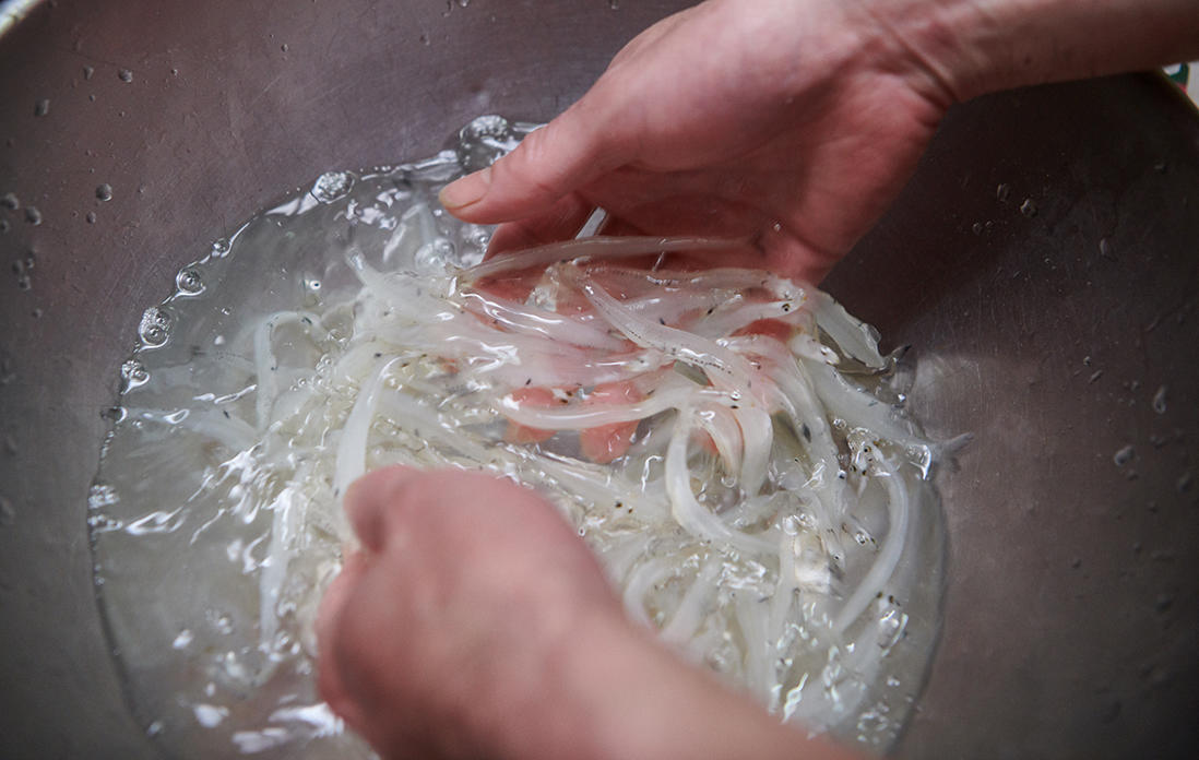 澄んだ身の白魚を塩水に放ち、泳がせるように軽く洗う。