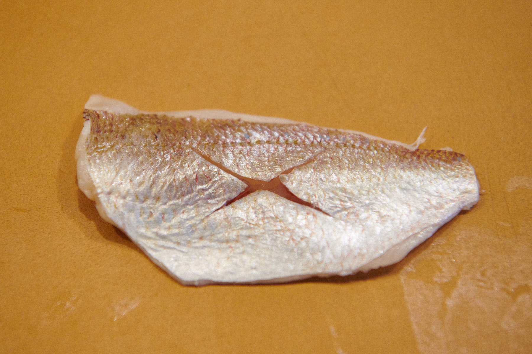 昆布で〆るること約1時間30分。淡い桜色の皮の被膜がなくなり、身は透明になってくる。