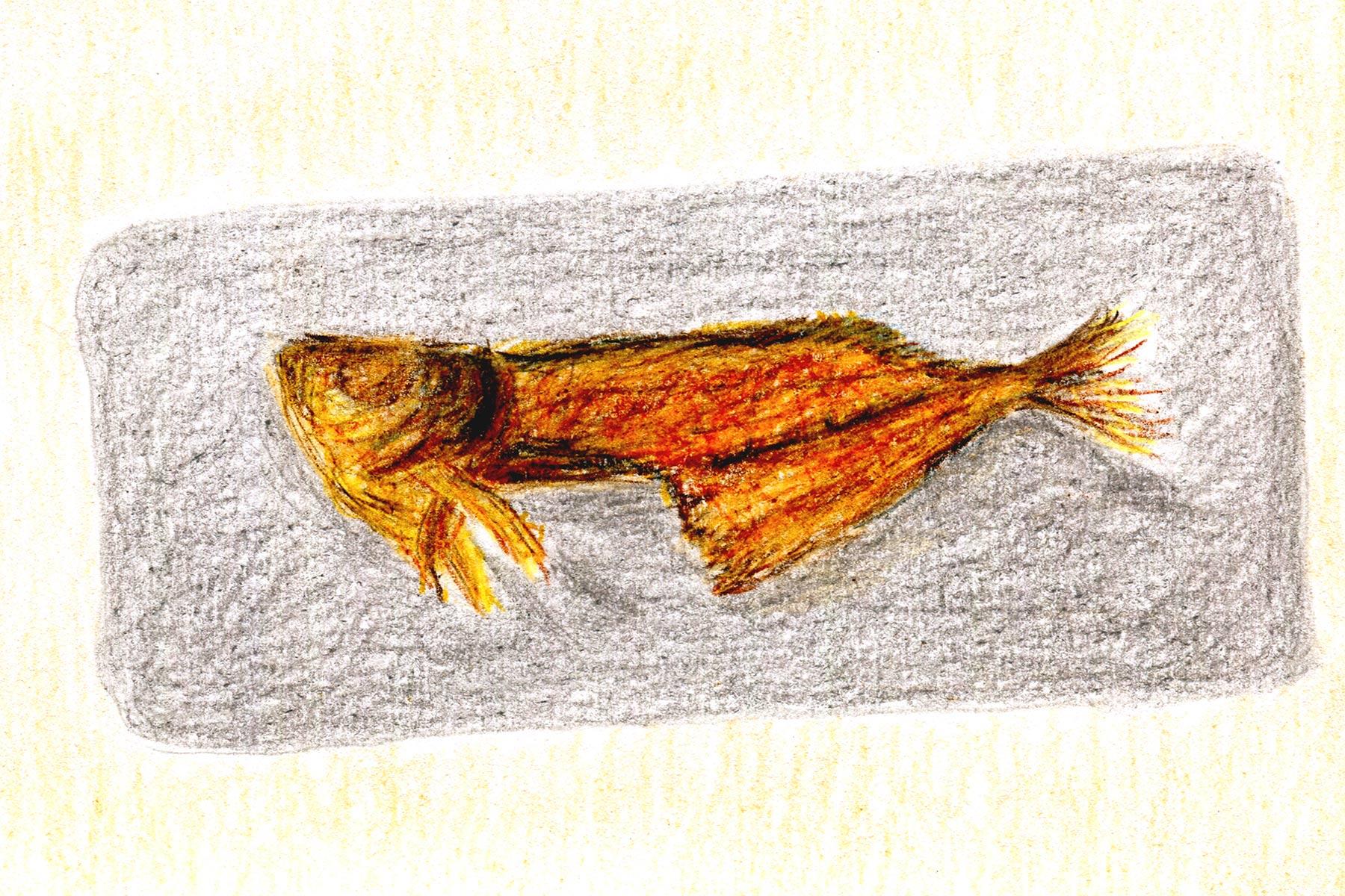 鯵の骨せんべい