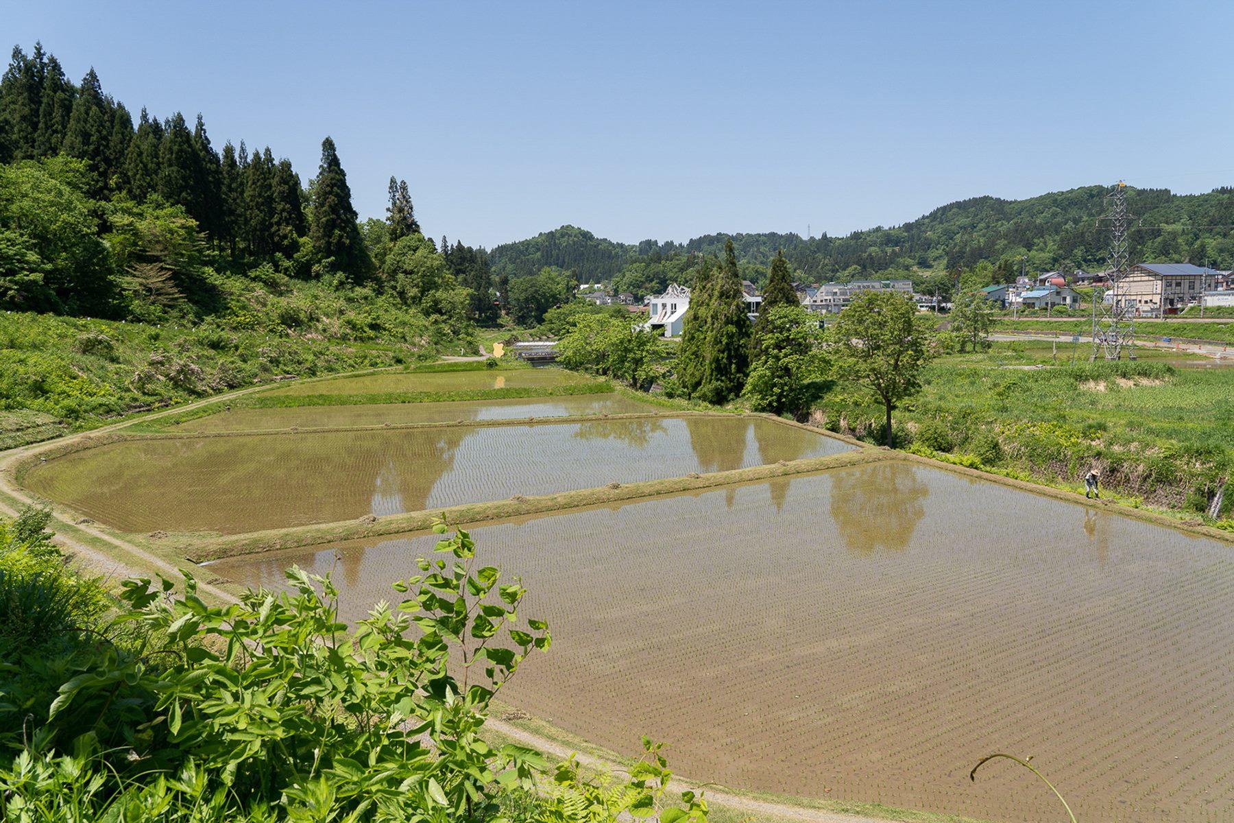 まつだい駅から会場に向かう途中に広がる、美しい田園風景。