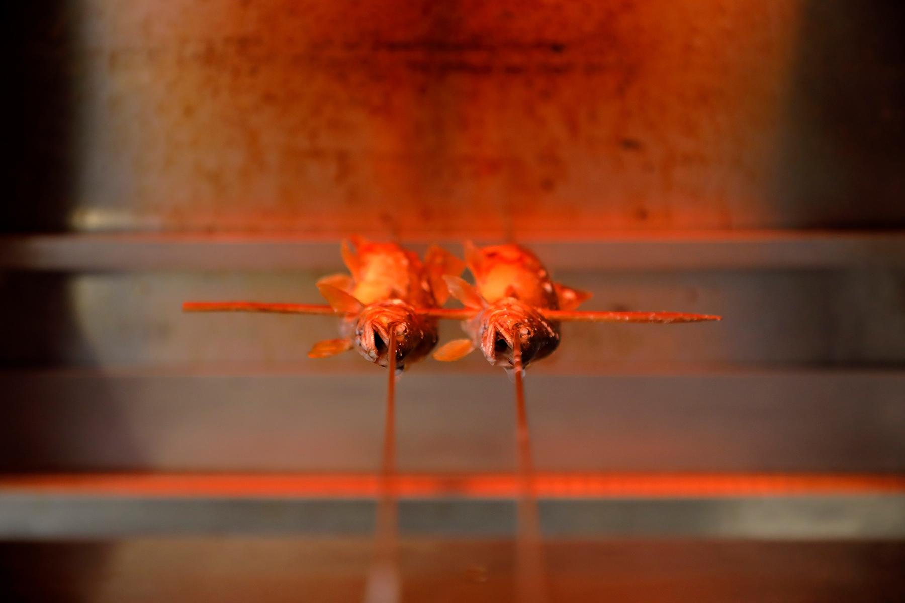 この日の鮎は琵琶湖で獲れたもの。目の前で生きた鮎に串を刺し、焼いてくれる。