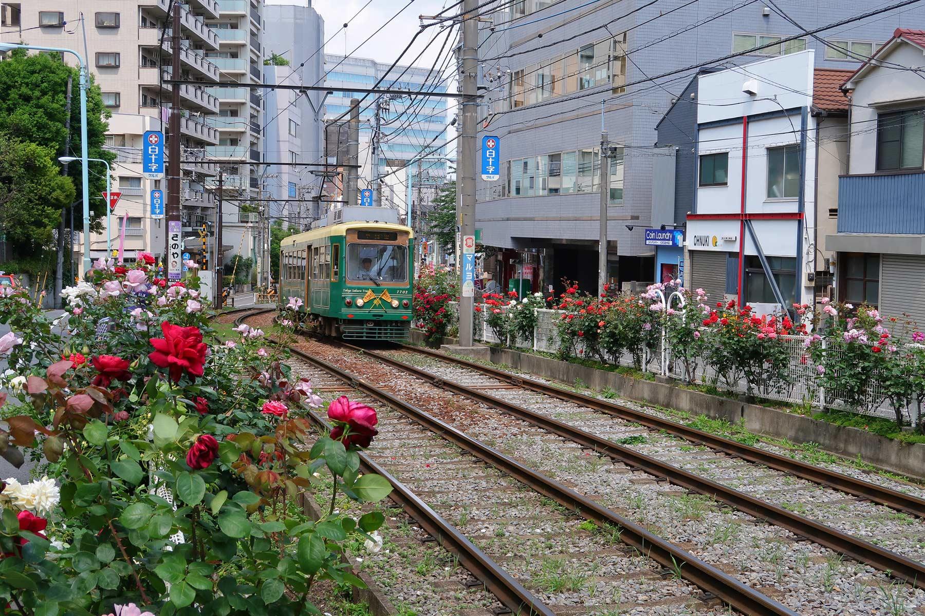 向原停留場周辺
