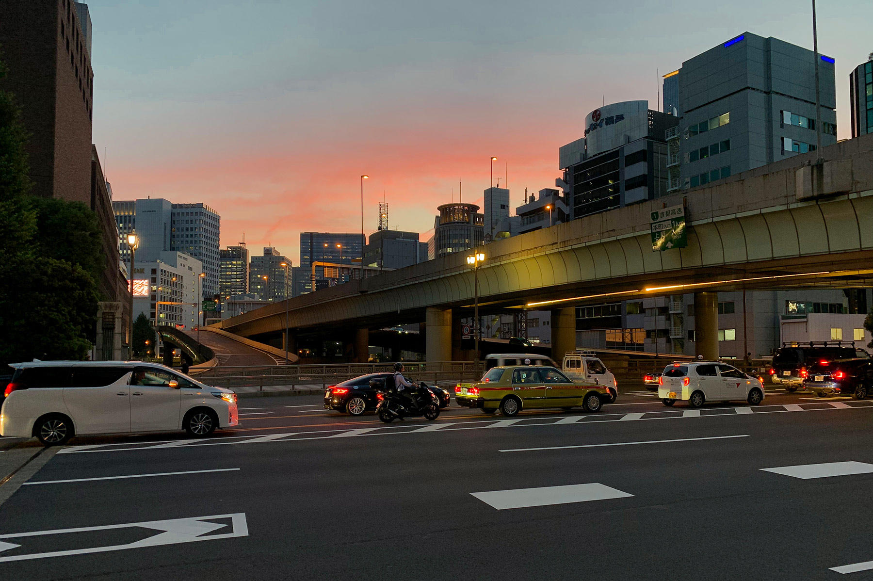 大森さんの写真
