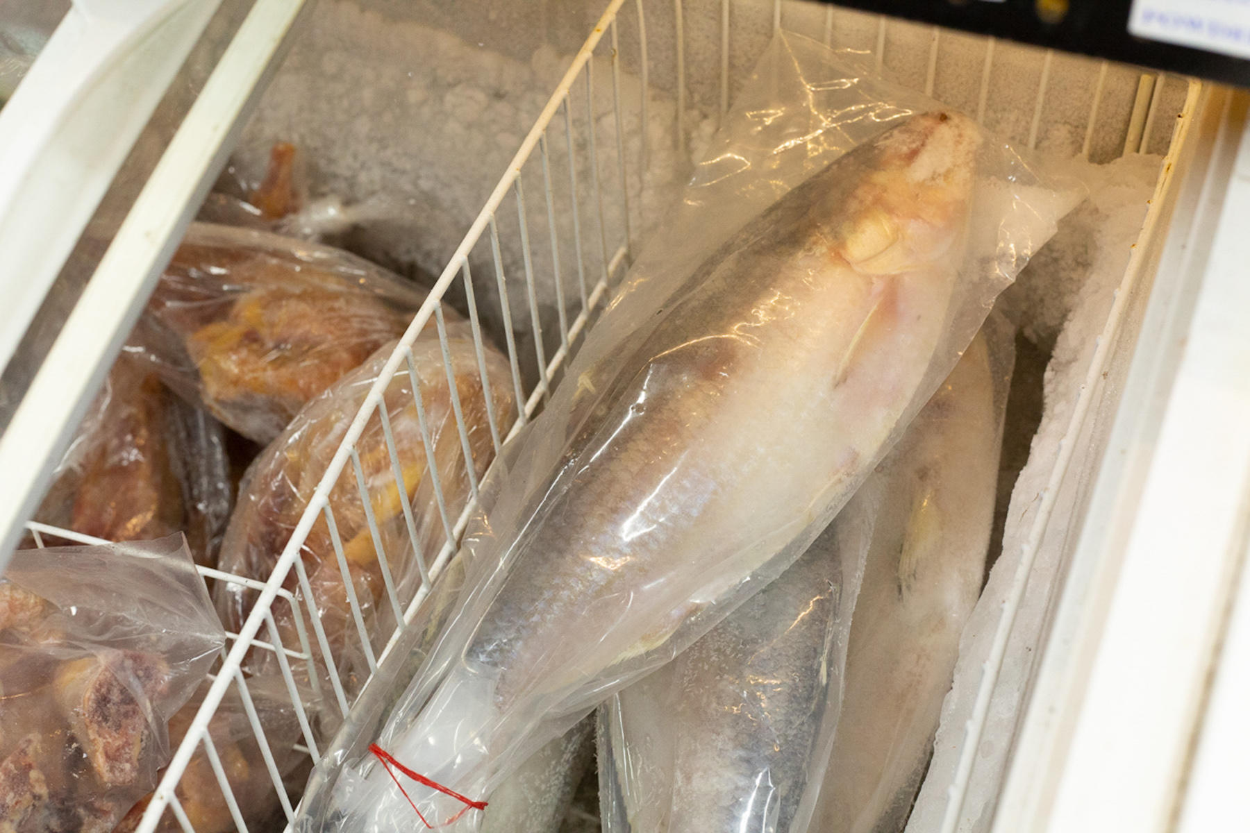 店内奥の冷凍庫には、1匹まるごとのアヒルと淡水魚。アヒルが店頭に特売品として並ぶこともしばしば。