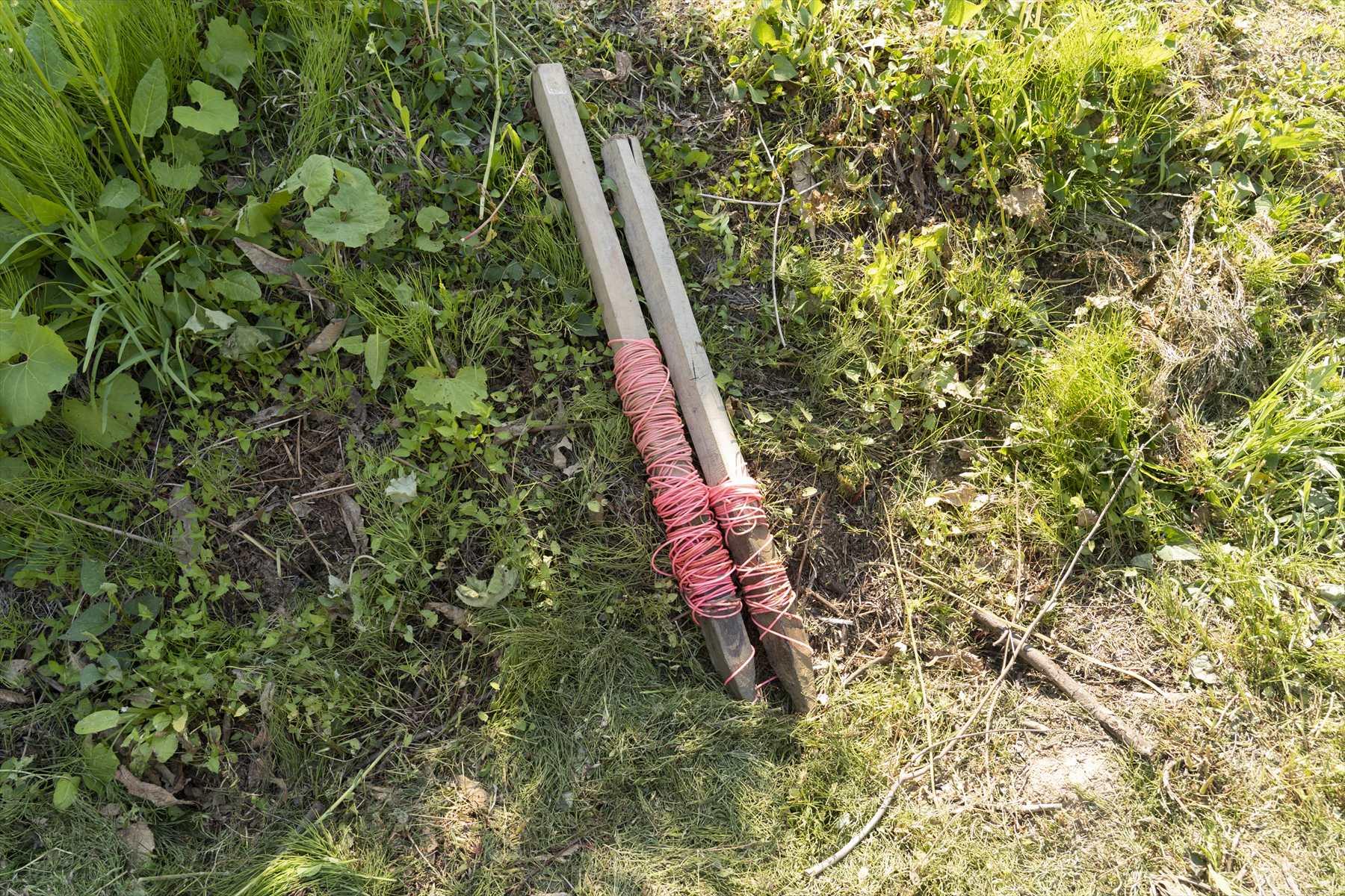 ヒモ植えの道具。畦の端と端に棒を持って立ち、くくりつけられたヒモをピンと張る。ヒモに沿って苗を植えていけば、きれいに苗が並ぶというわけ。