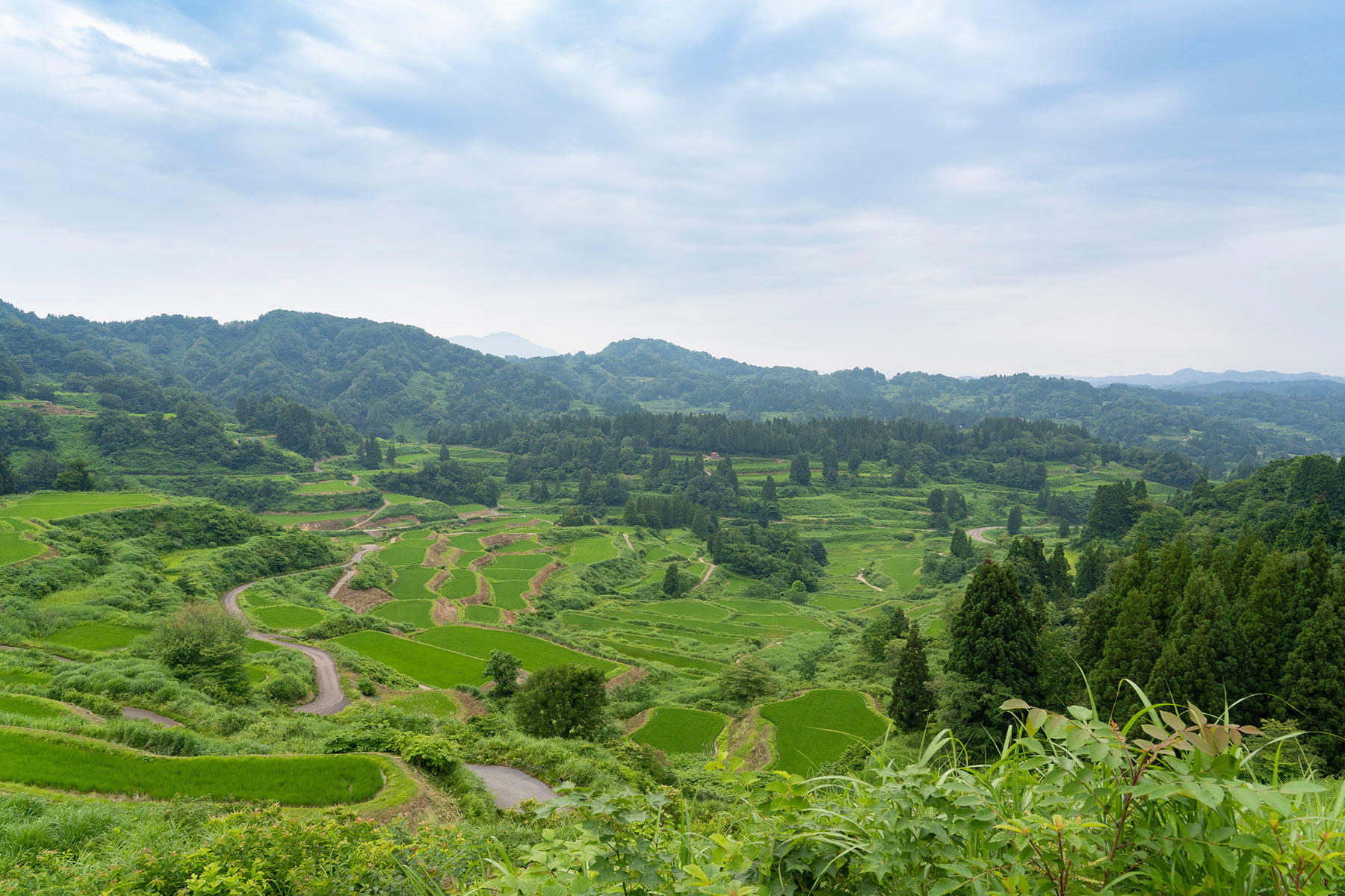星峠の棚田