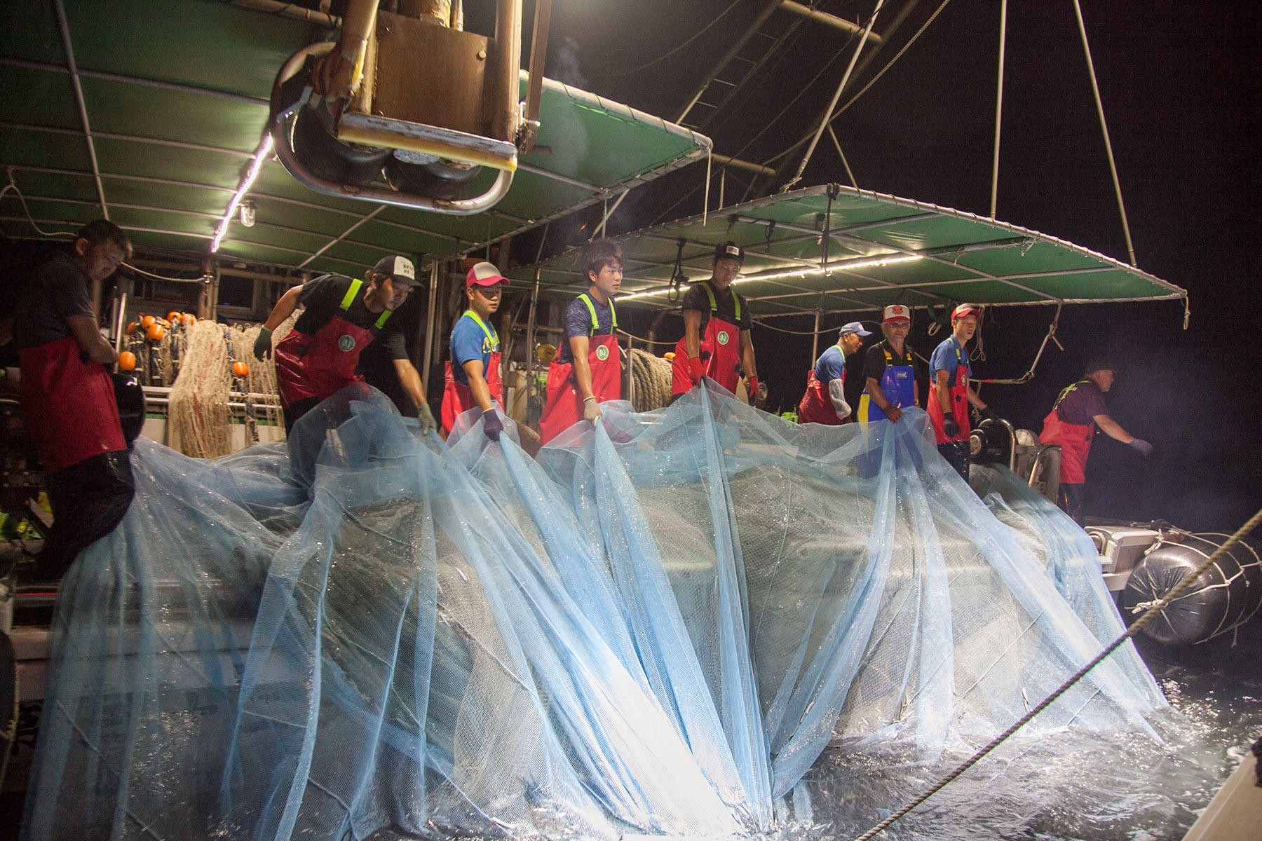 いわし船びき網