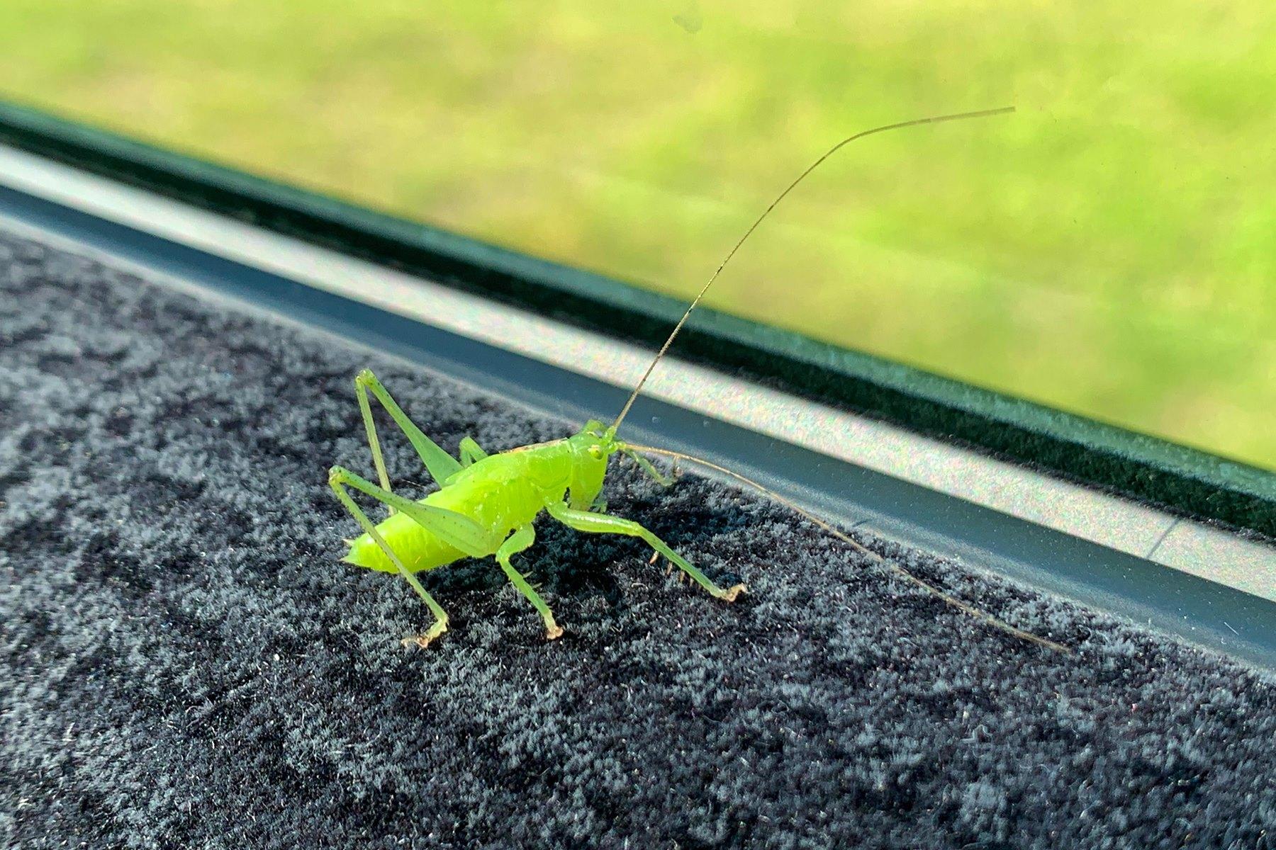 大森さんの写真