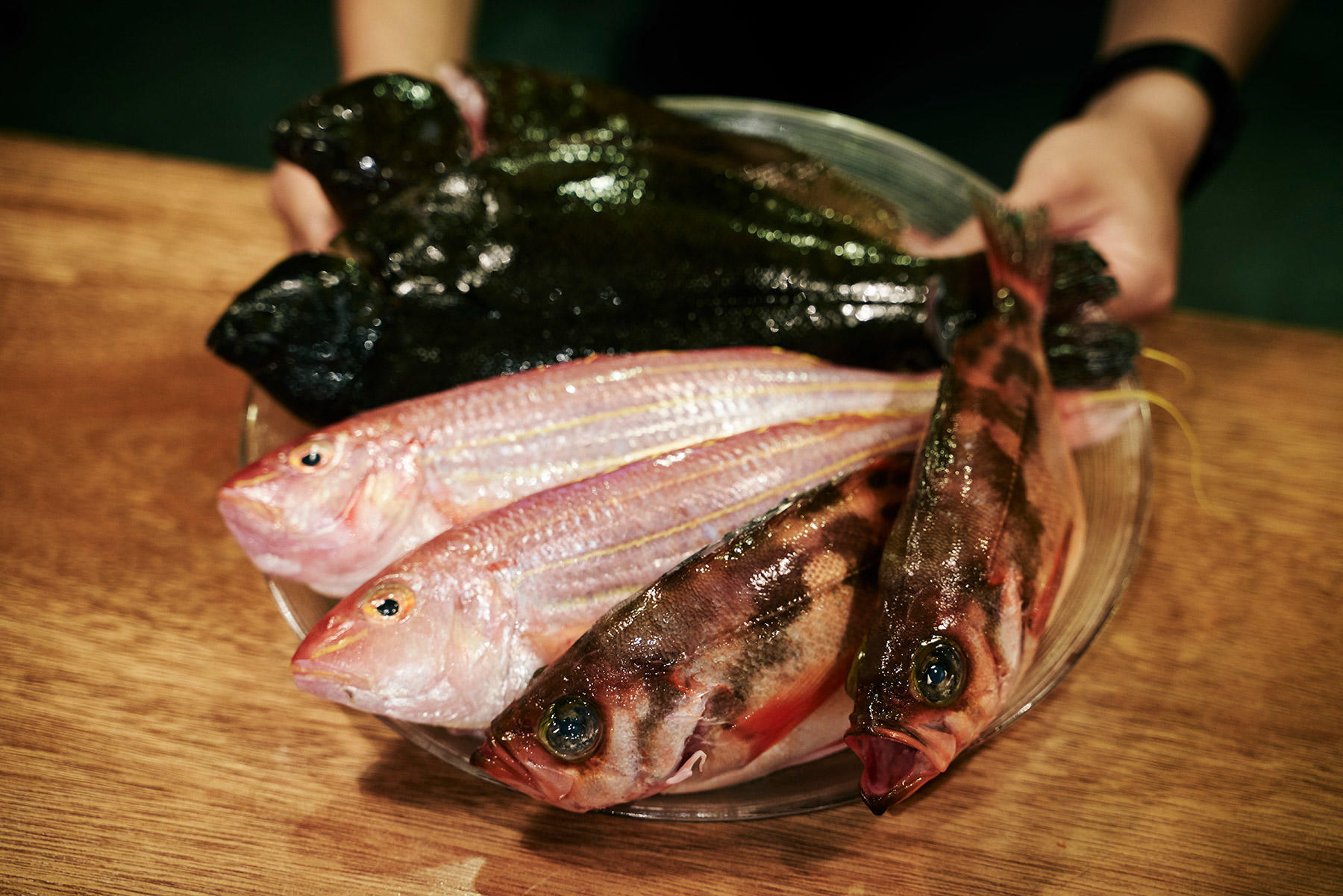魚