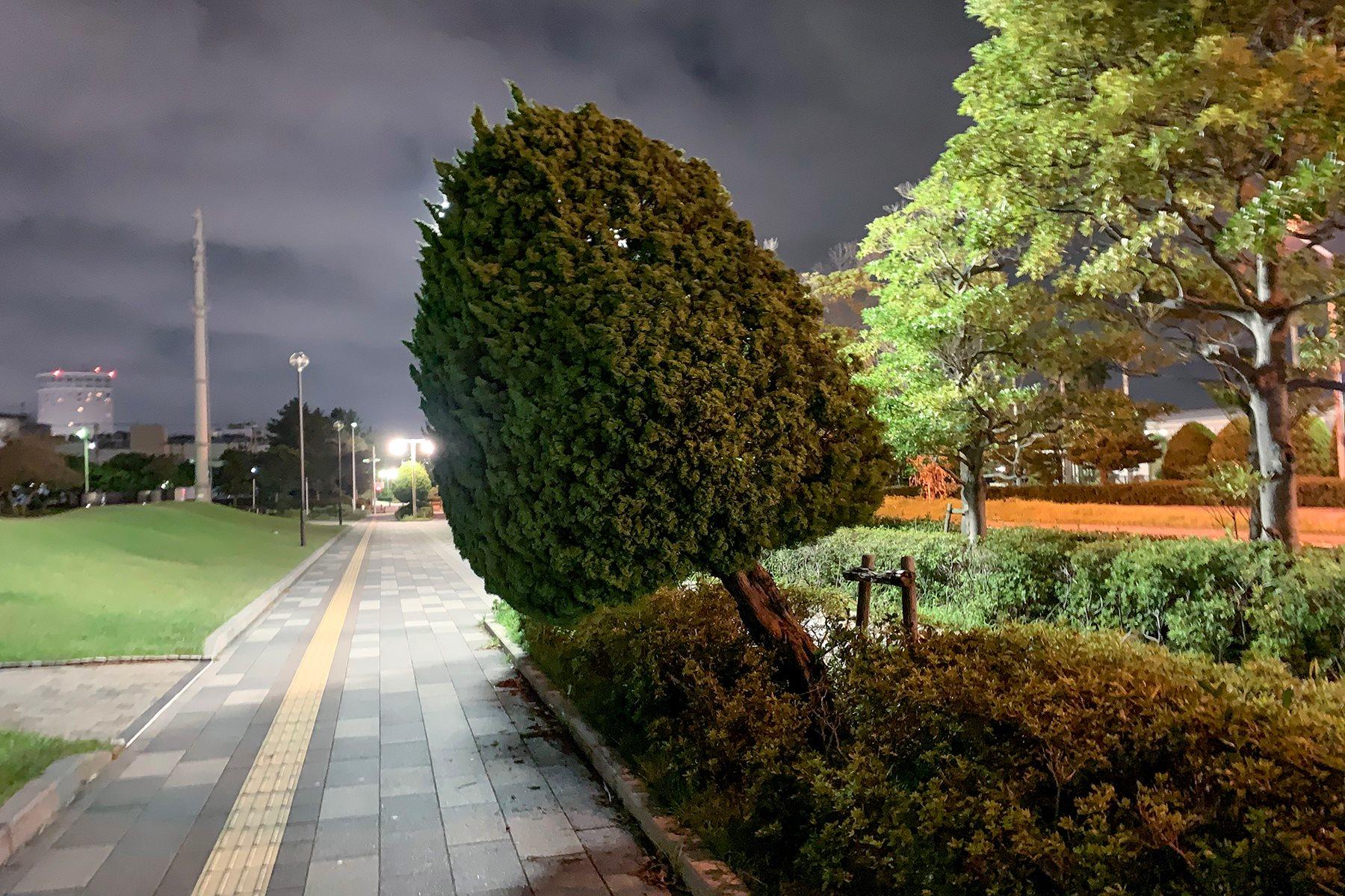 大森さんの写真