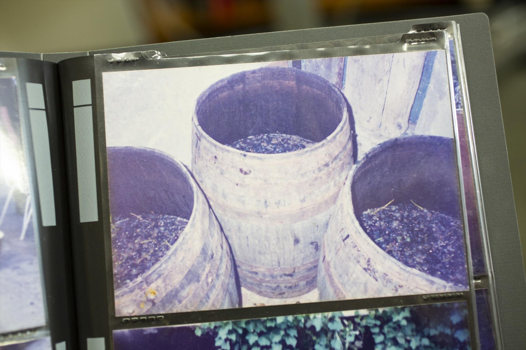 ワイン造りの様子