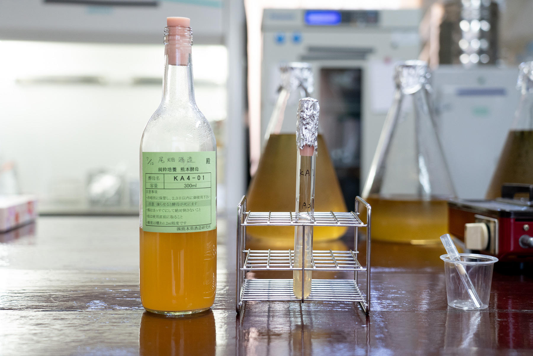熊本酵母の培養研究室
