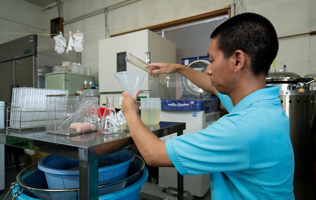 酒蔵界の共有財産である熊本酵母の培養研究室。