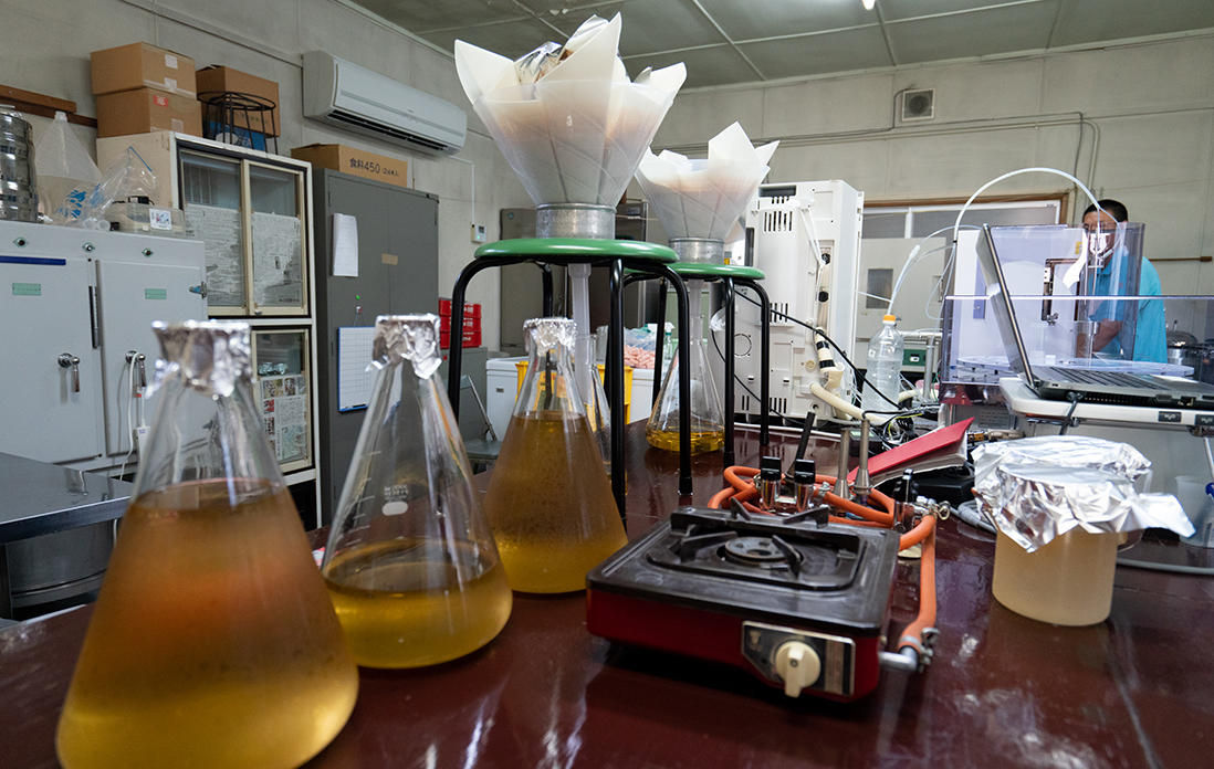 熊本酵母の培養研究室