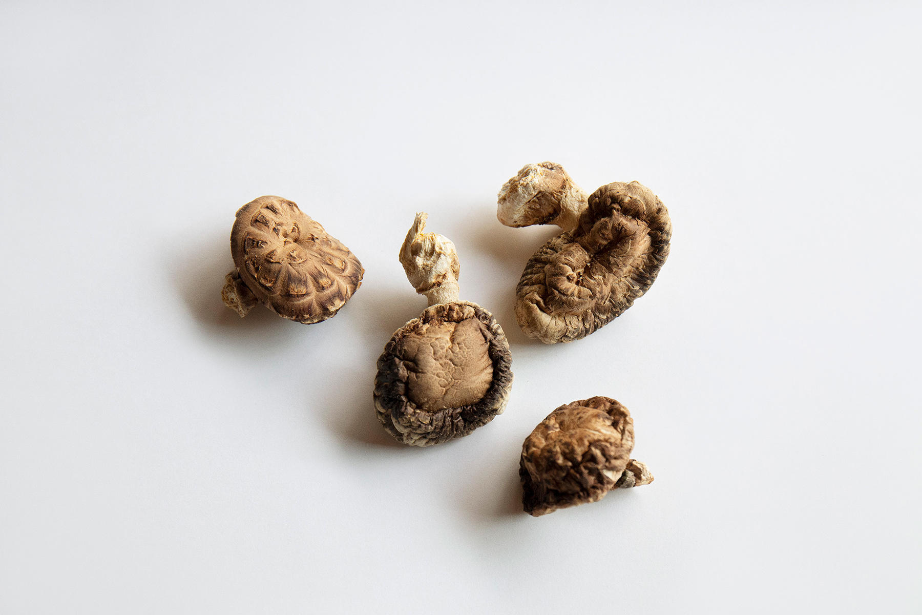 干し椎茸