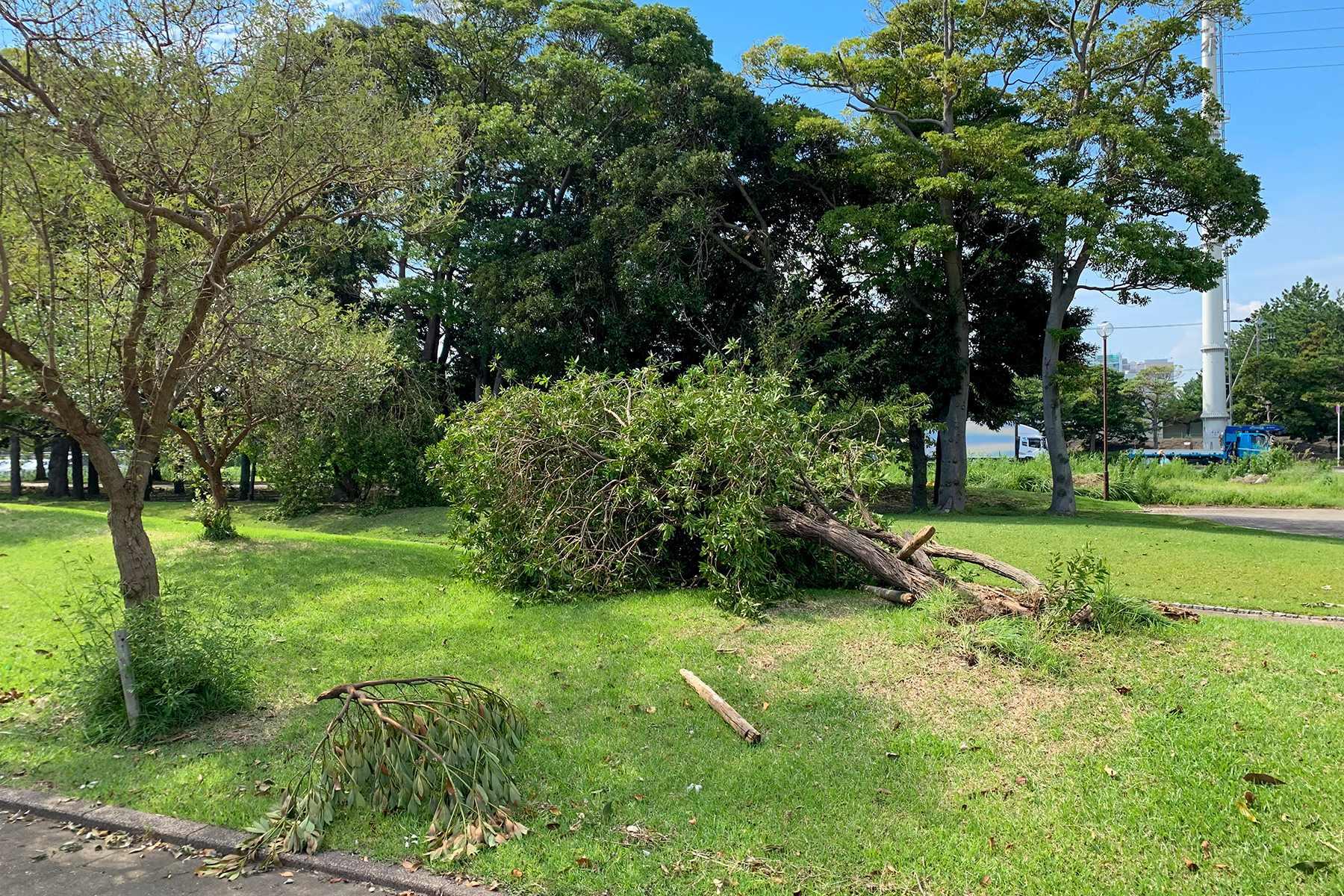 大森さんの写真