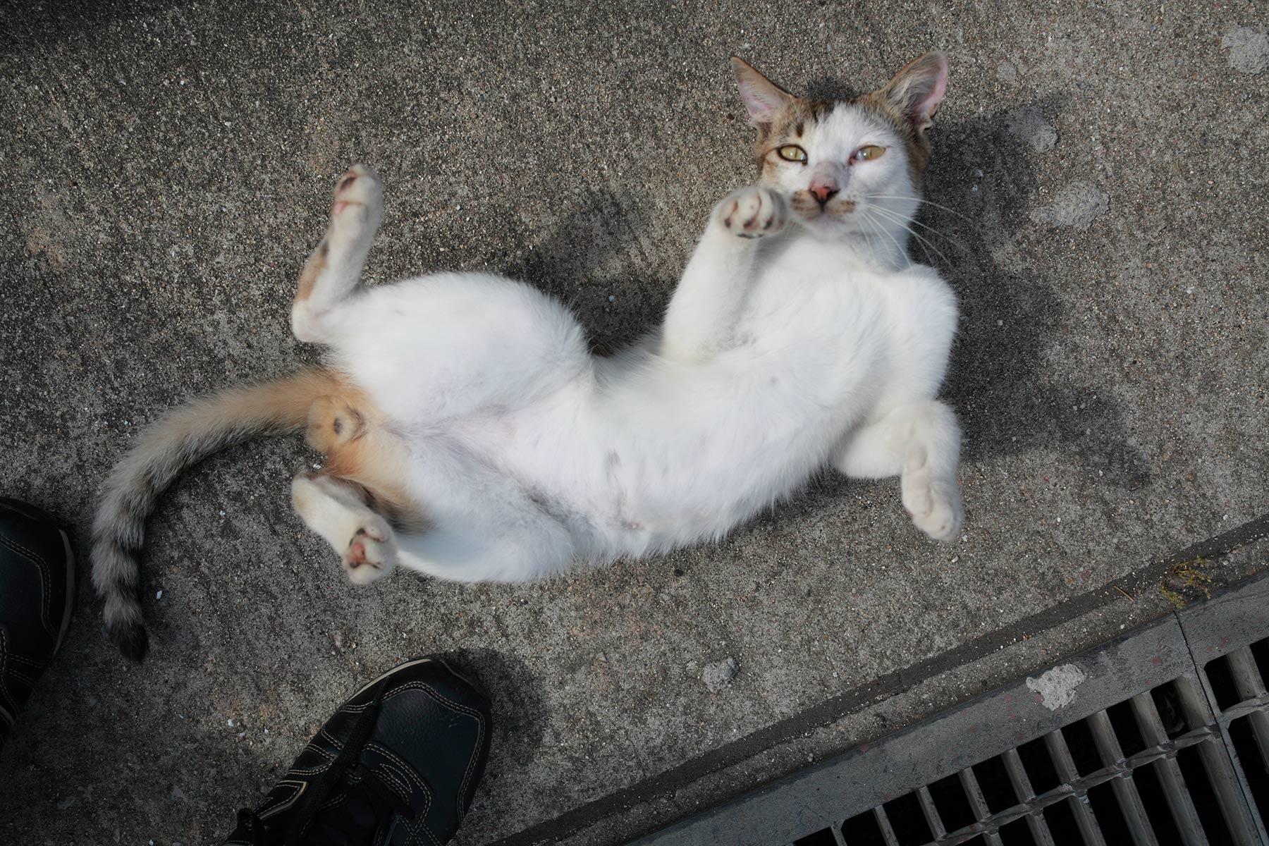 大森さんの写真