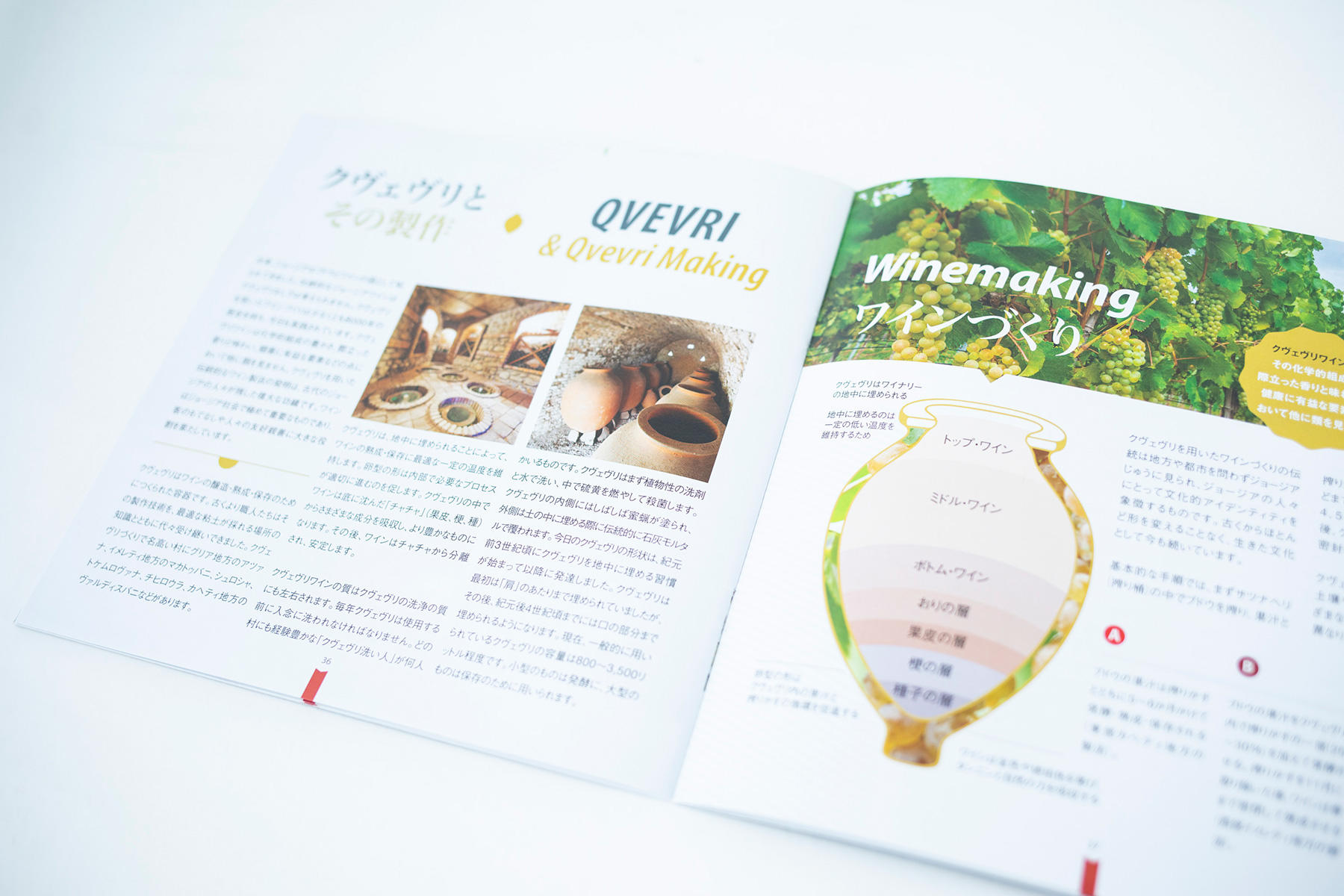 GEORGIA HOMELAND WINE（ジョージアワインの揺りかご）