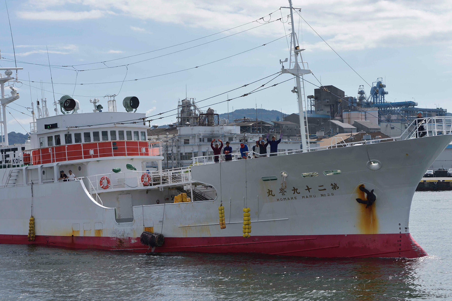 遠洋漁船が帰って来た 冷凍マグロ最前線 マグロをめぐる冒険 公式 Dancyu ダンチュウ