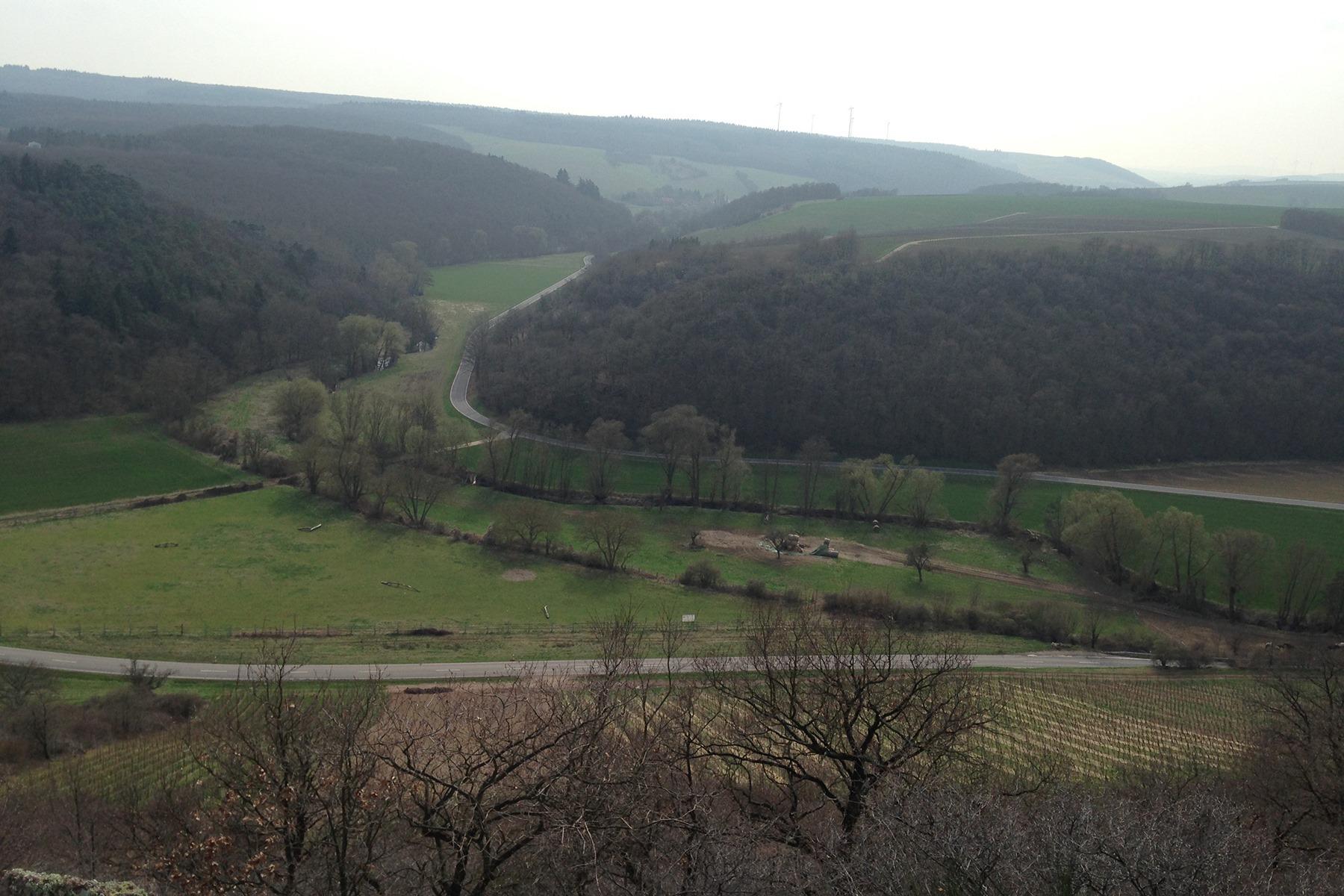 シュテンペル畑