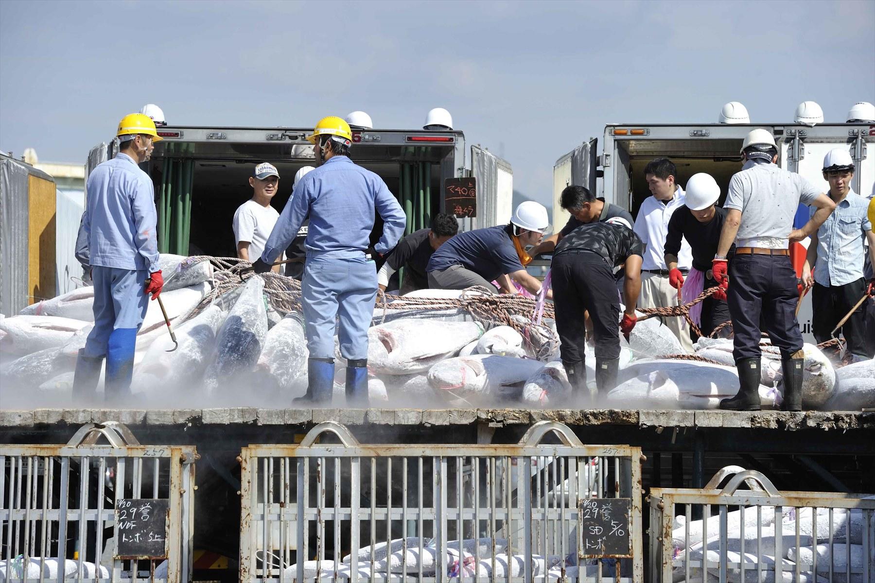 八洲水産従業員