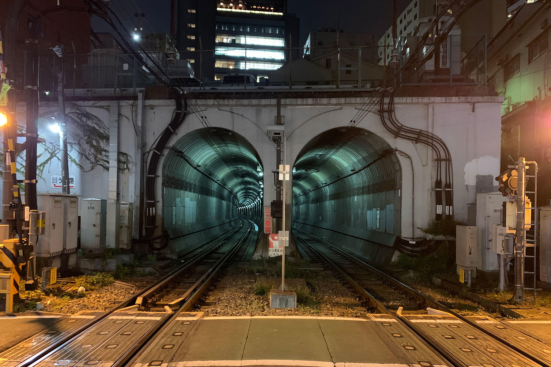 大森さんの写真