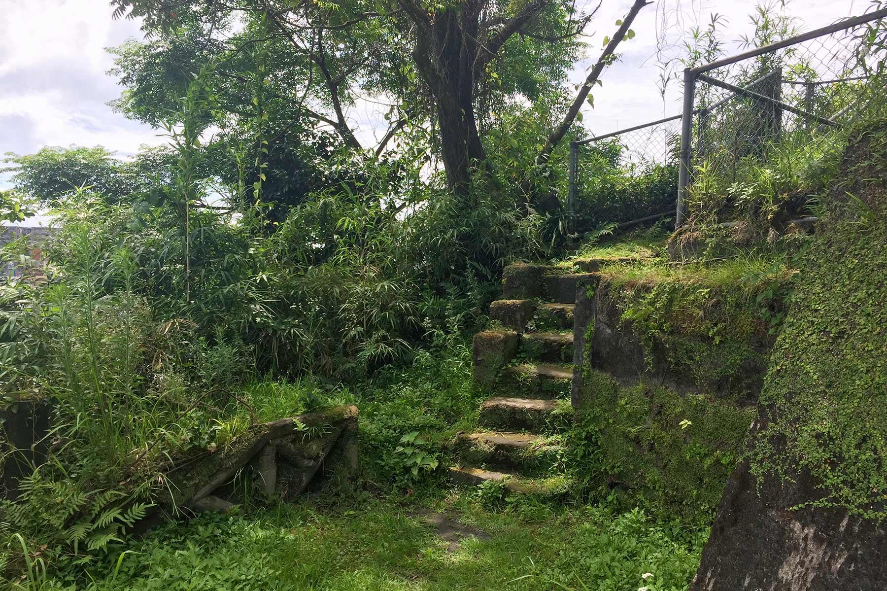 大森さんの写真