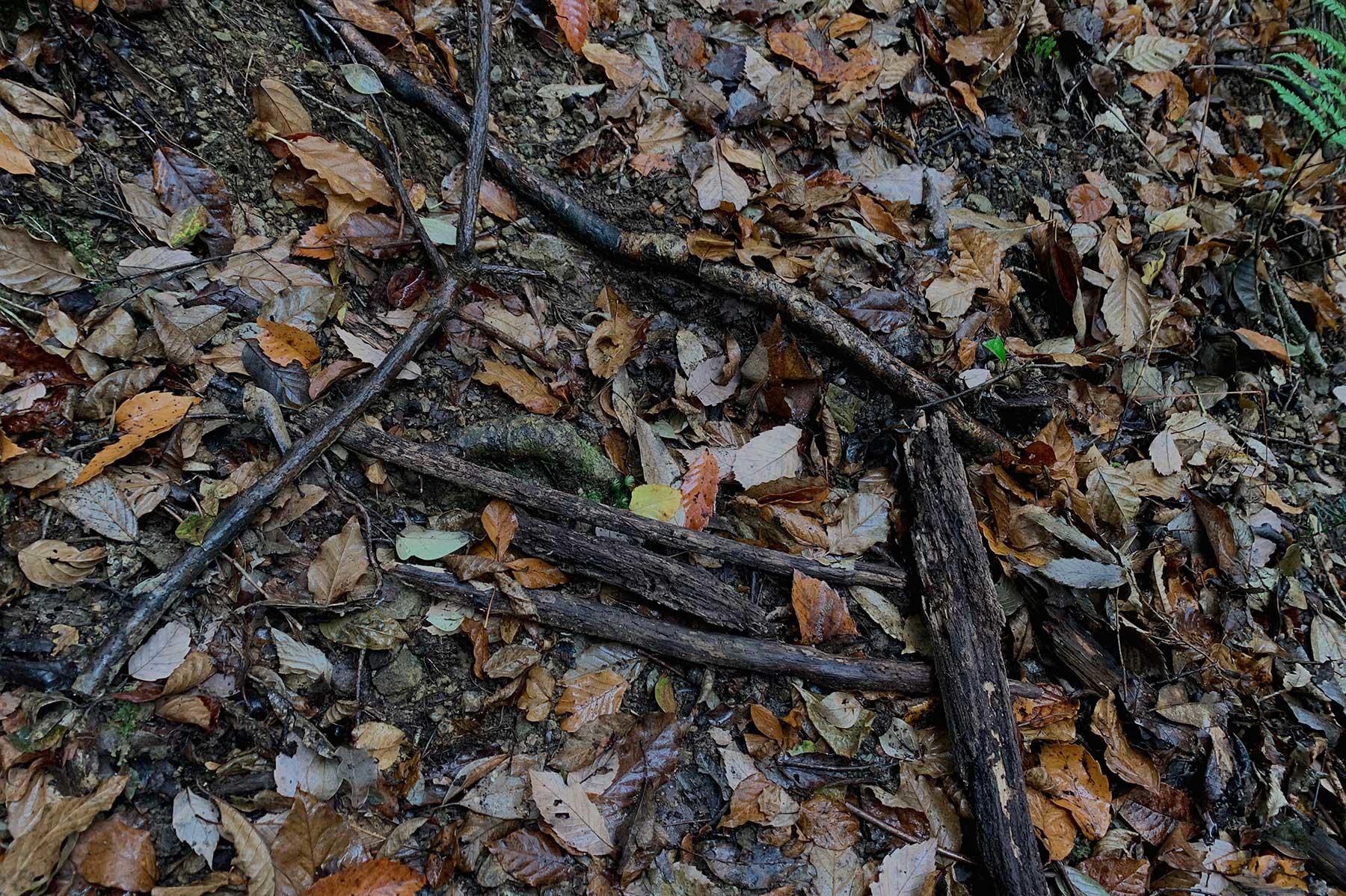 大森さんの写真