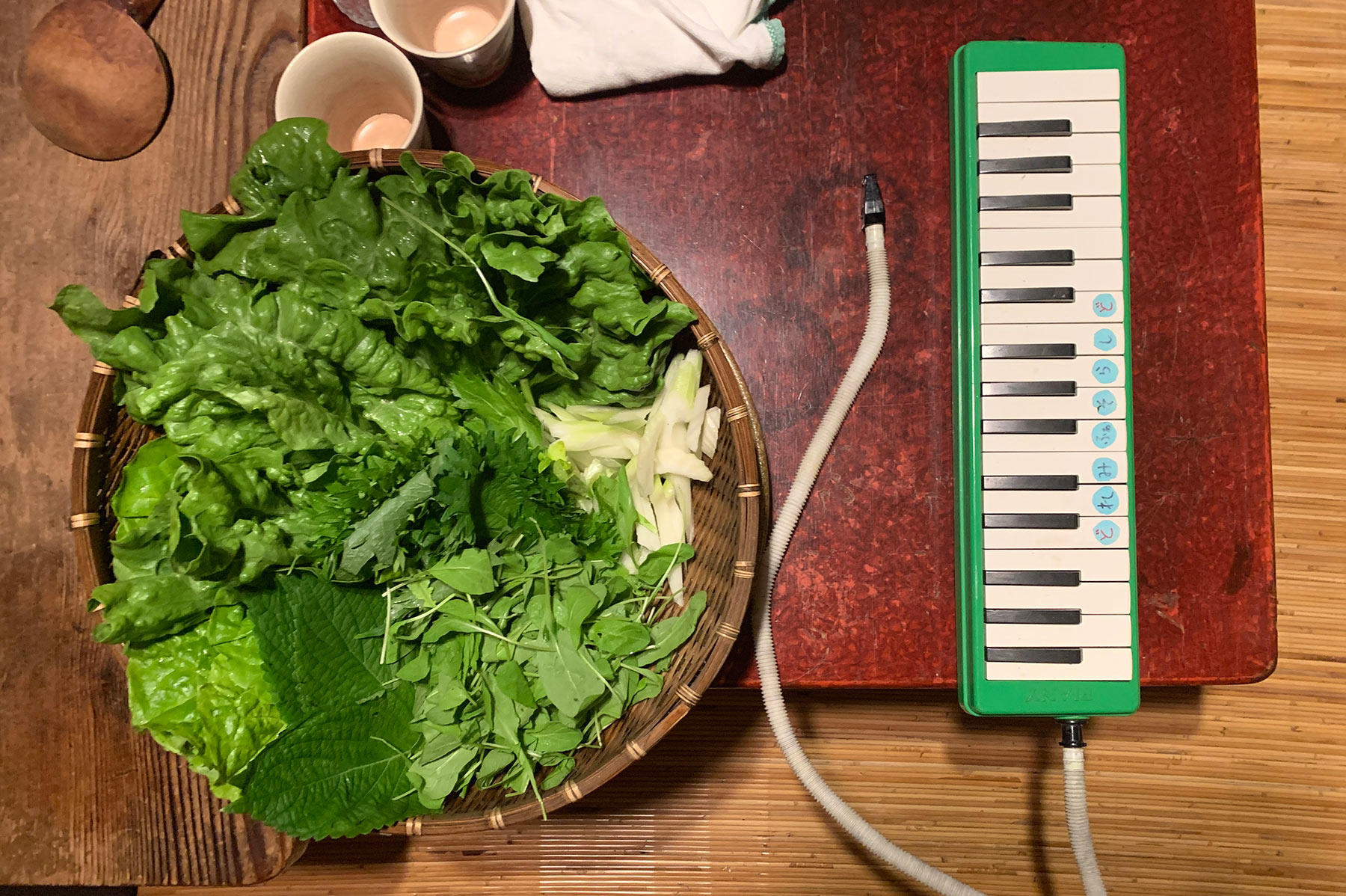 大森さんの写真