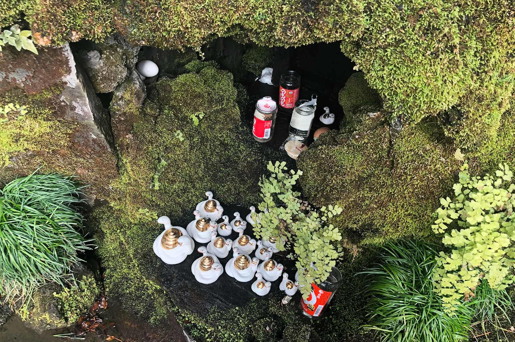 大森さんの写真