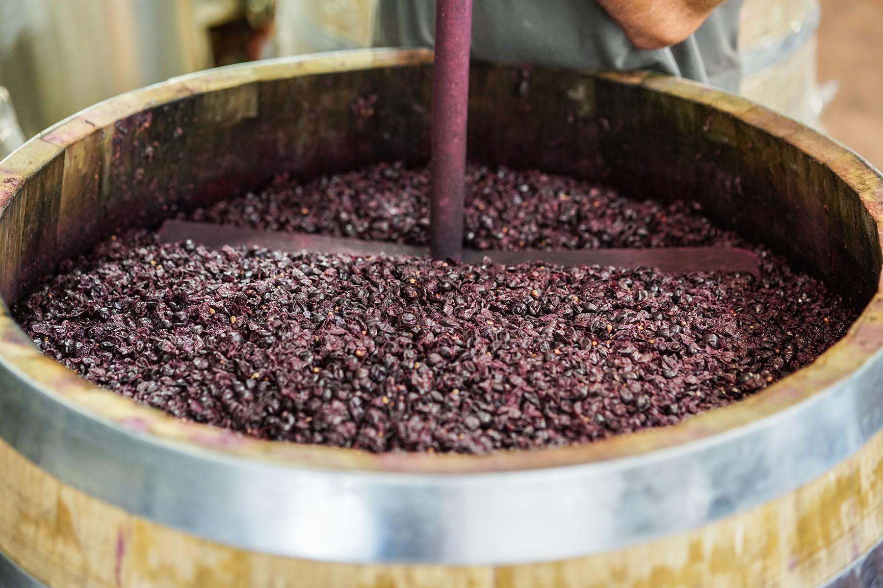 ワイン造りの様子