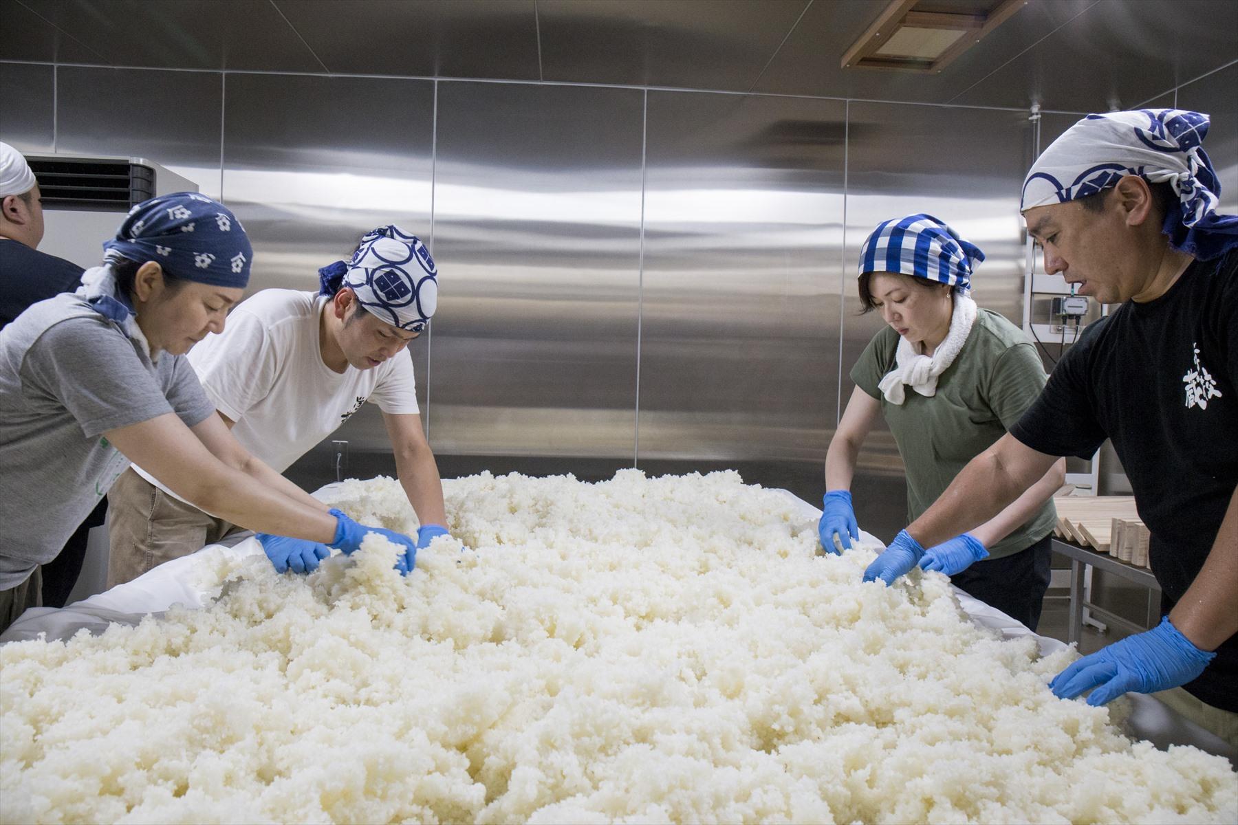 種麹を振った米を広げる