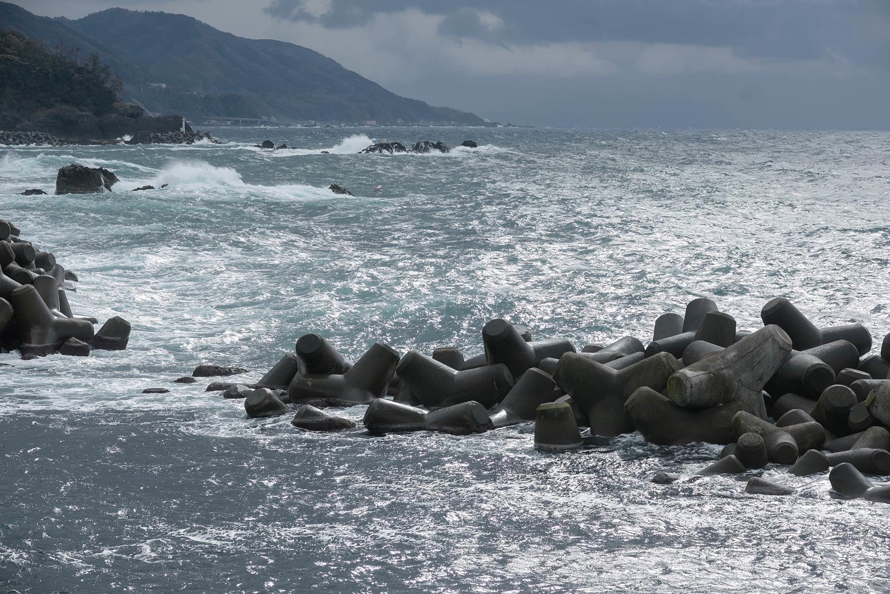 海