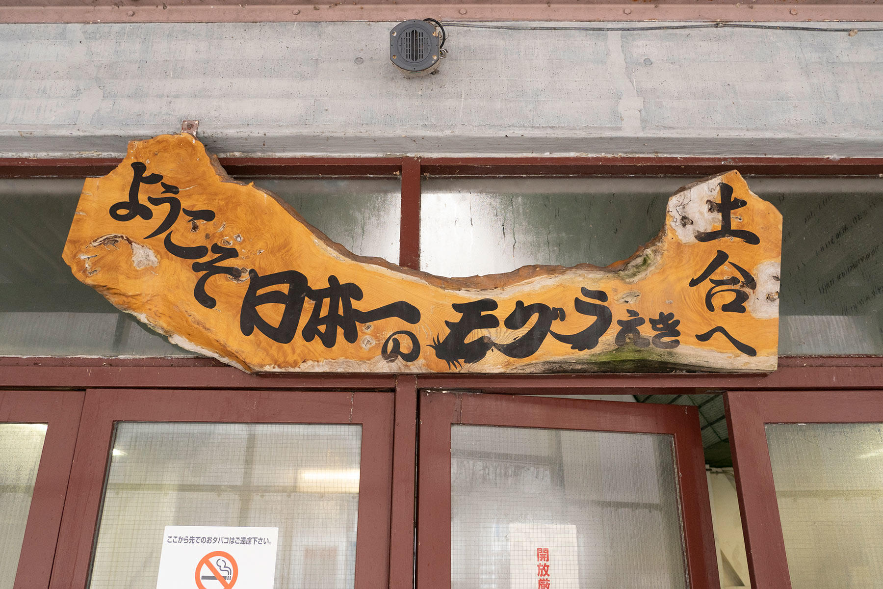 魚をすくう様子