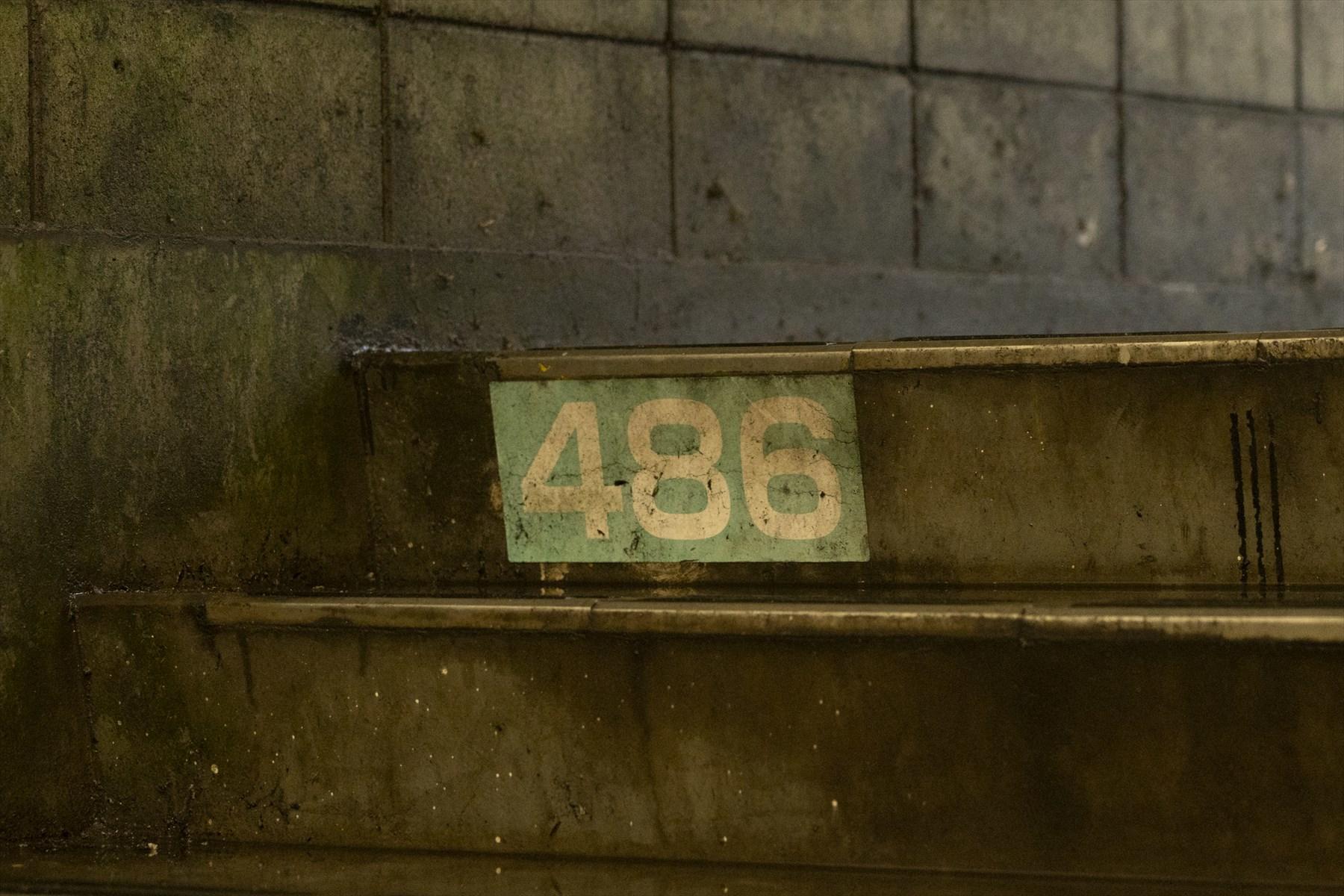 段数表示486